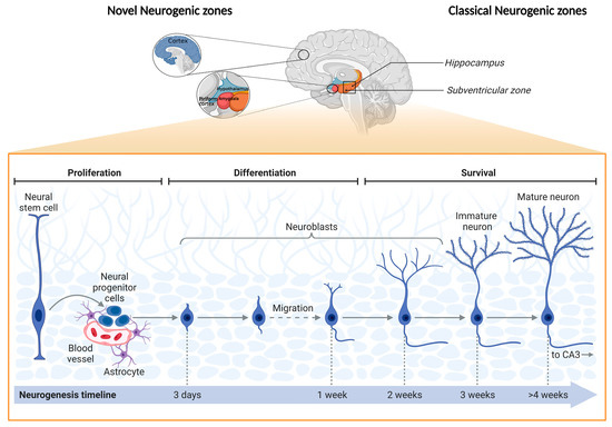 Frontiers  Behavioral and neuropsychiatric challenges across the