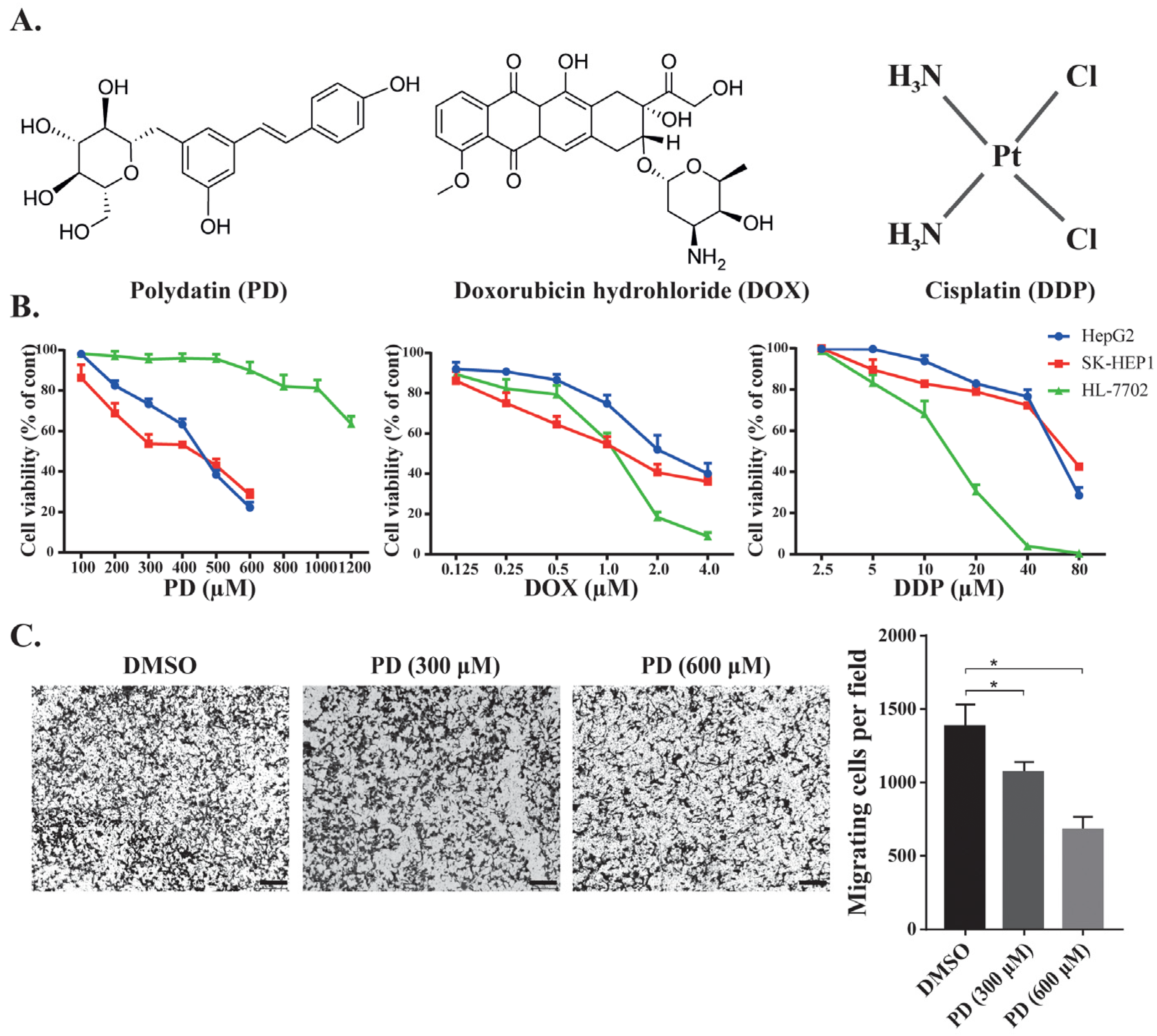 Cells Free Full-Text Polydatin Inhibits Hepatocellular Carcinoma Cell Proliferation and Sensitizes Doxorubicin and Cisplatin through Targeting Cell Mitotic Machinery