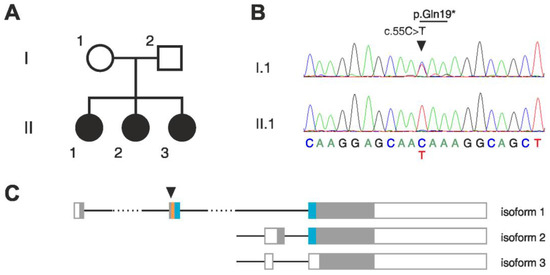 Cells | Free Full-Text | Loss of the Immunomodulatory Transcription ...