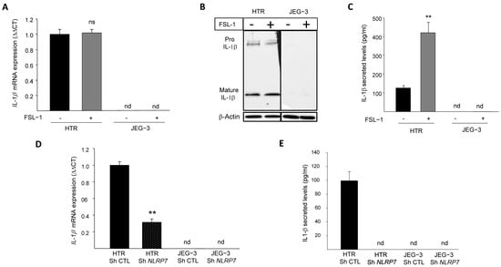 Cells | Free Full-Text | NLRP7 Enhances Choriocarcinoma Cell Survival ...