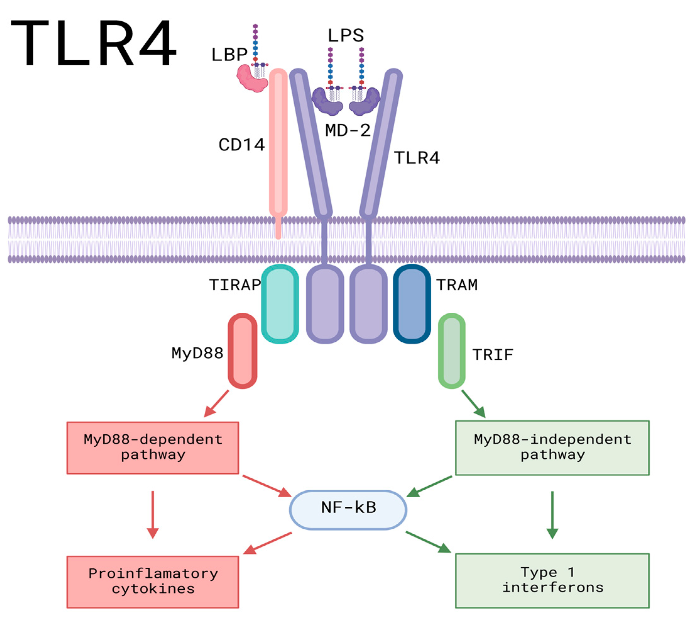 Cells | Free Full-Text | Exosomes: A Promising Strategy for Repair ...