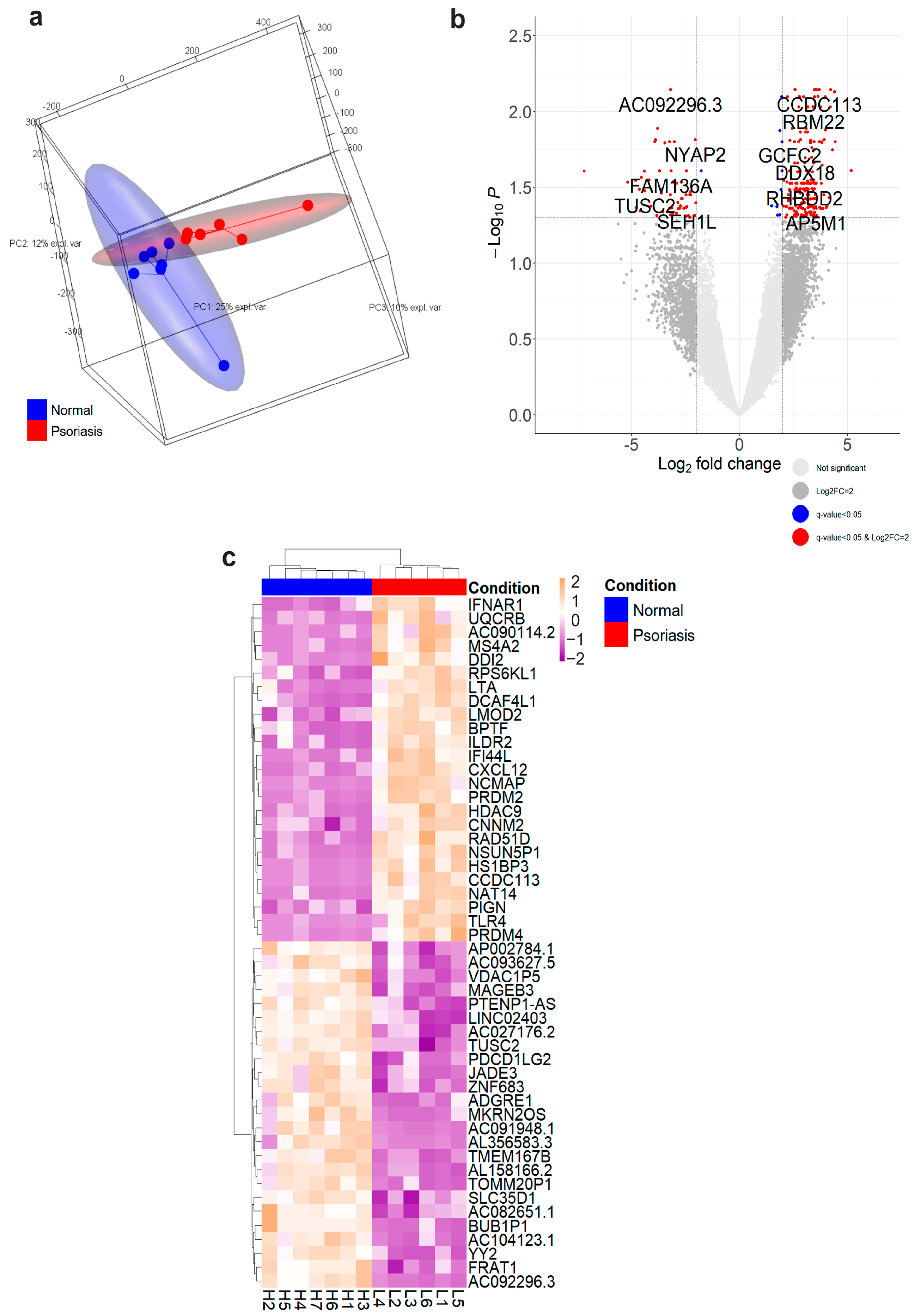 Cells | Free Full-Text | Human Mast Cells Upregulate Cathepsin B