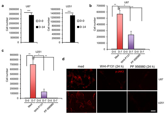 WHI-P131  Cell Signaling Technology