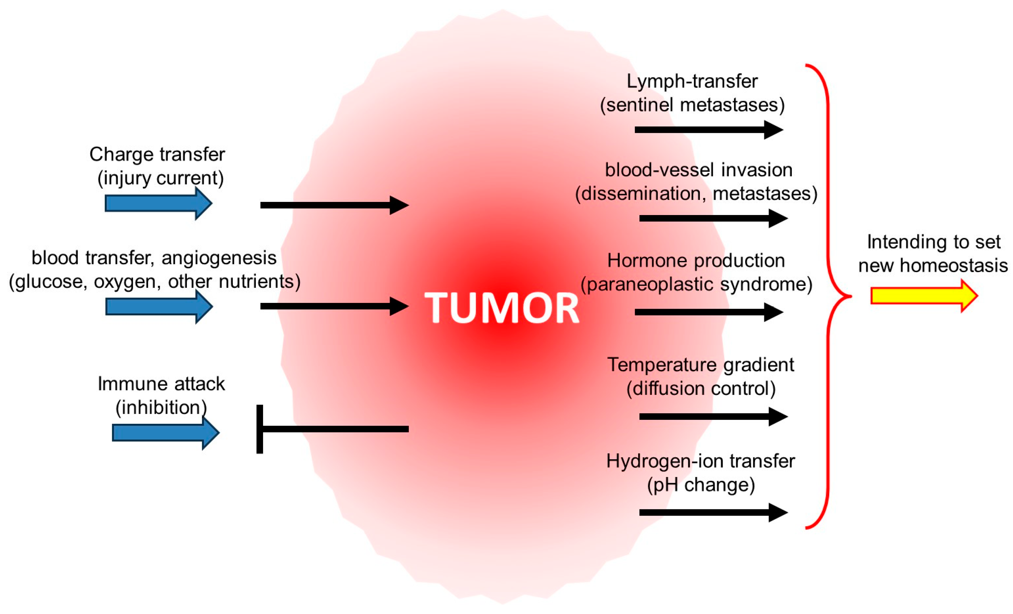 Cells | Free Full-Text | Peto’s “Paradox” and Six Degrees of Cancer