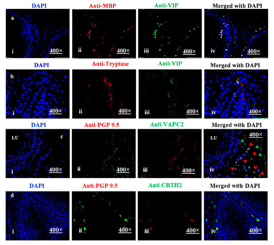 Cells | An Open Access Journal From MDPI