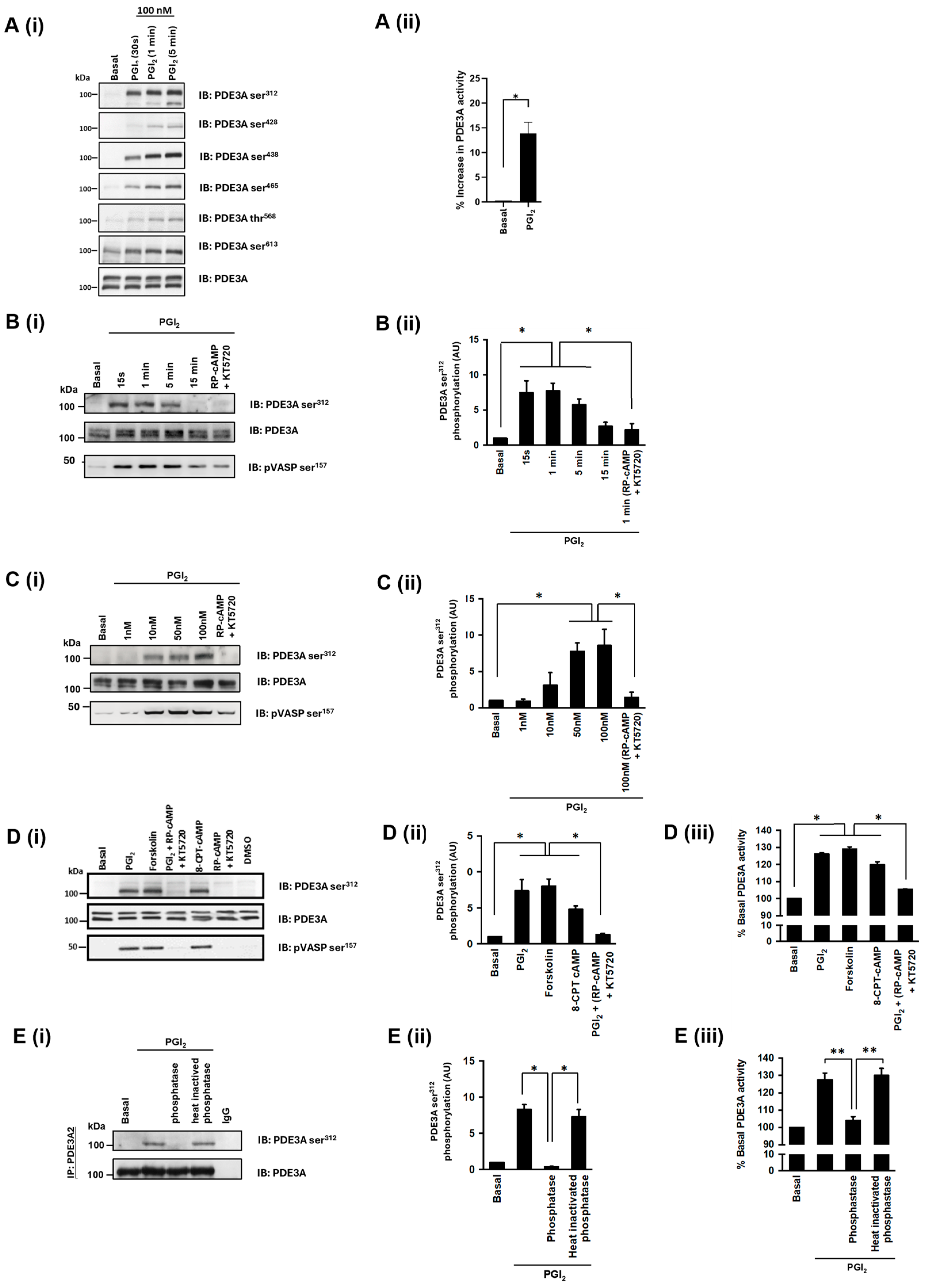 Cells | Free Full-Text | Protein Kinase A Regulates Platelet ...