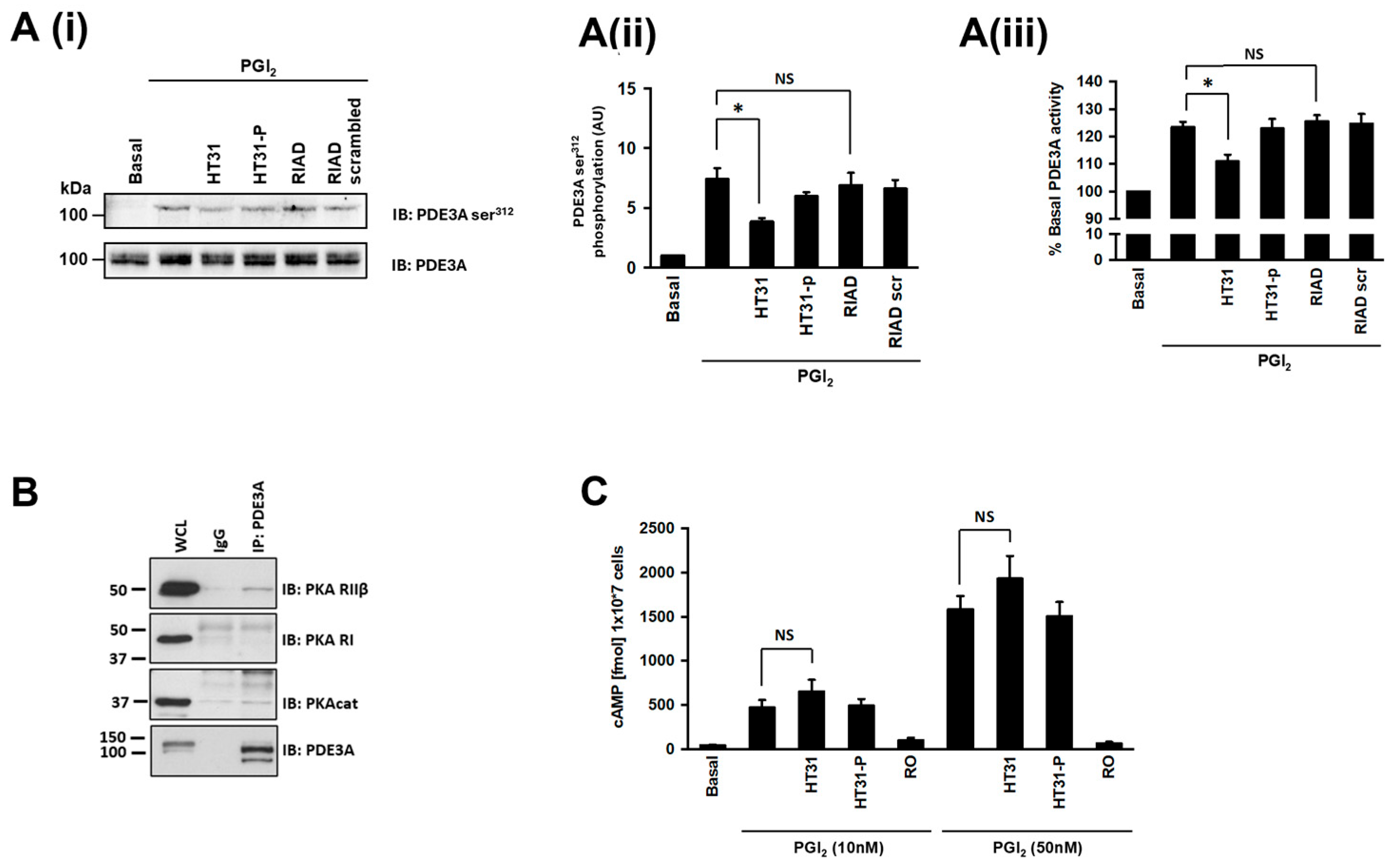 Cells | Free Full-Text | Protein Kinase A Regulates Platelet ...