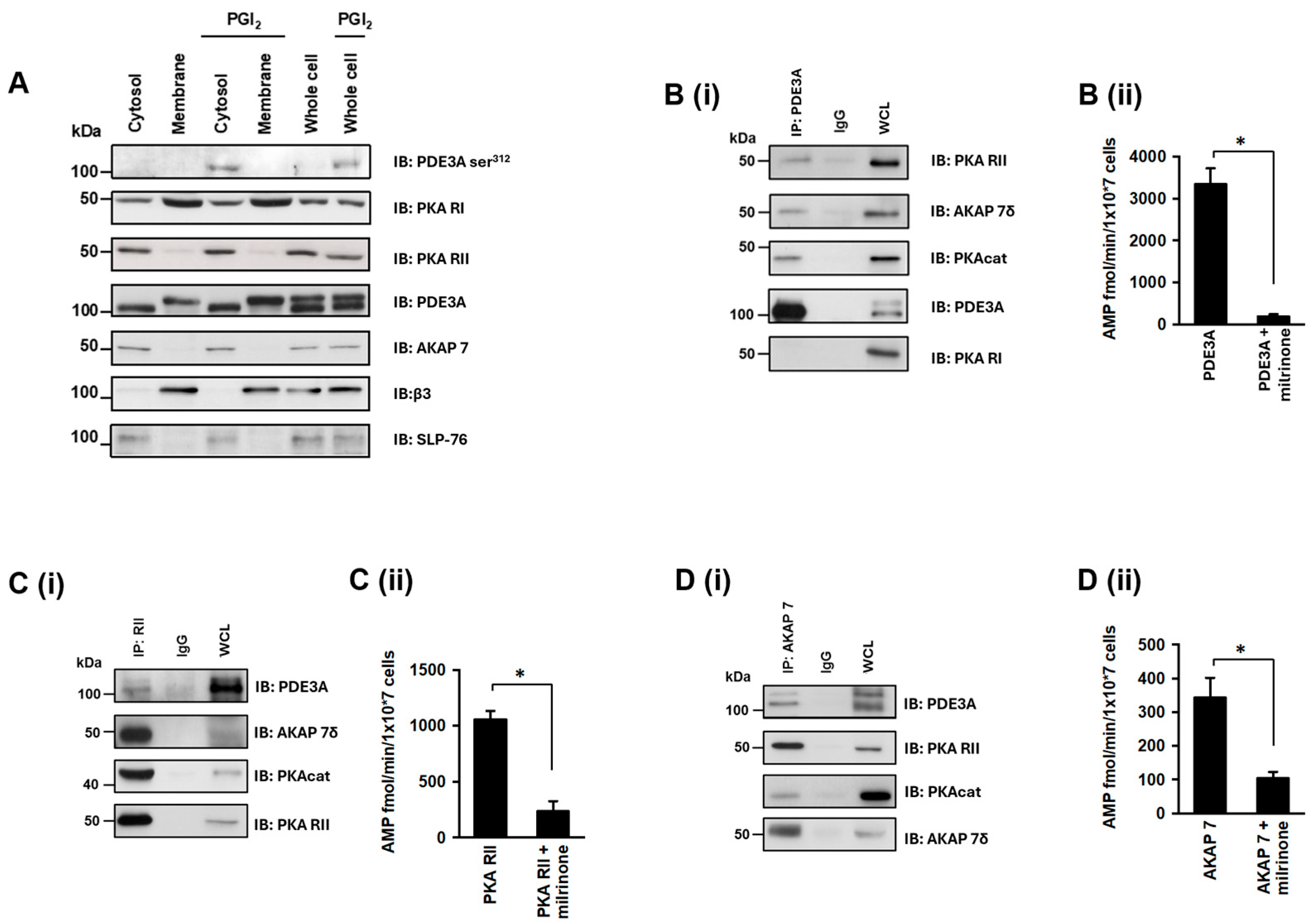 Cells | Free Full-Text | Protein Kinase A Regulates Platelet ...