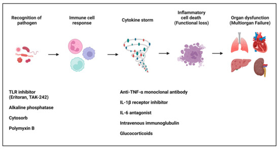 Cells | Free Full-Text | Evolving Paradigms in Sepsis Management: A ...