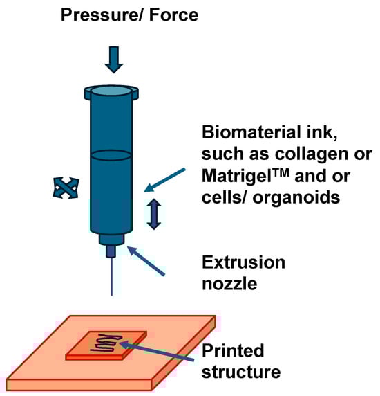 B/Sリアルストリーム eハクセン ヤフー店 - Real Stream[リアルストリーム]シリーズ｜Yahoo