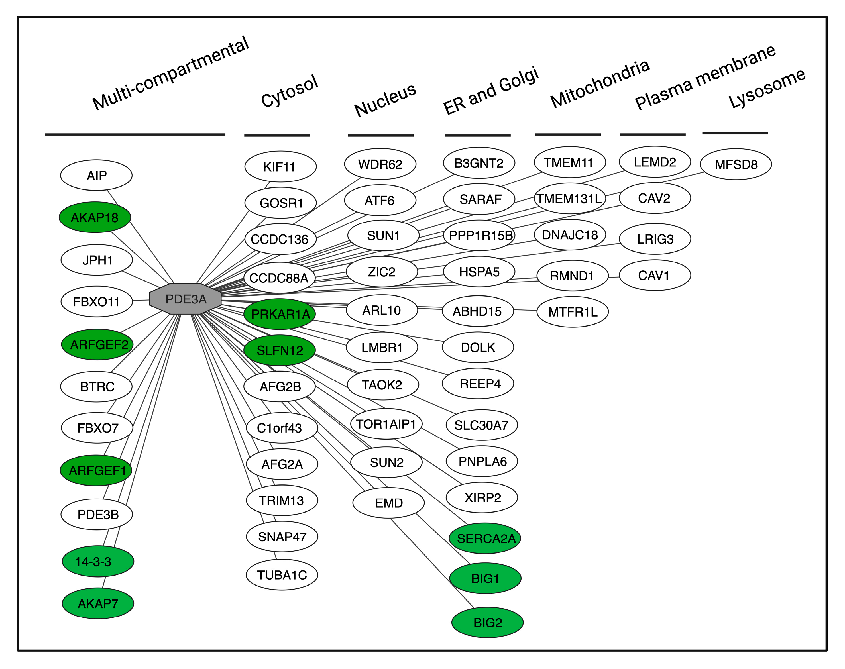 Frontiers | Development of Loop-Mediated Isothermal
