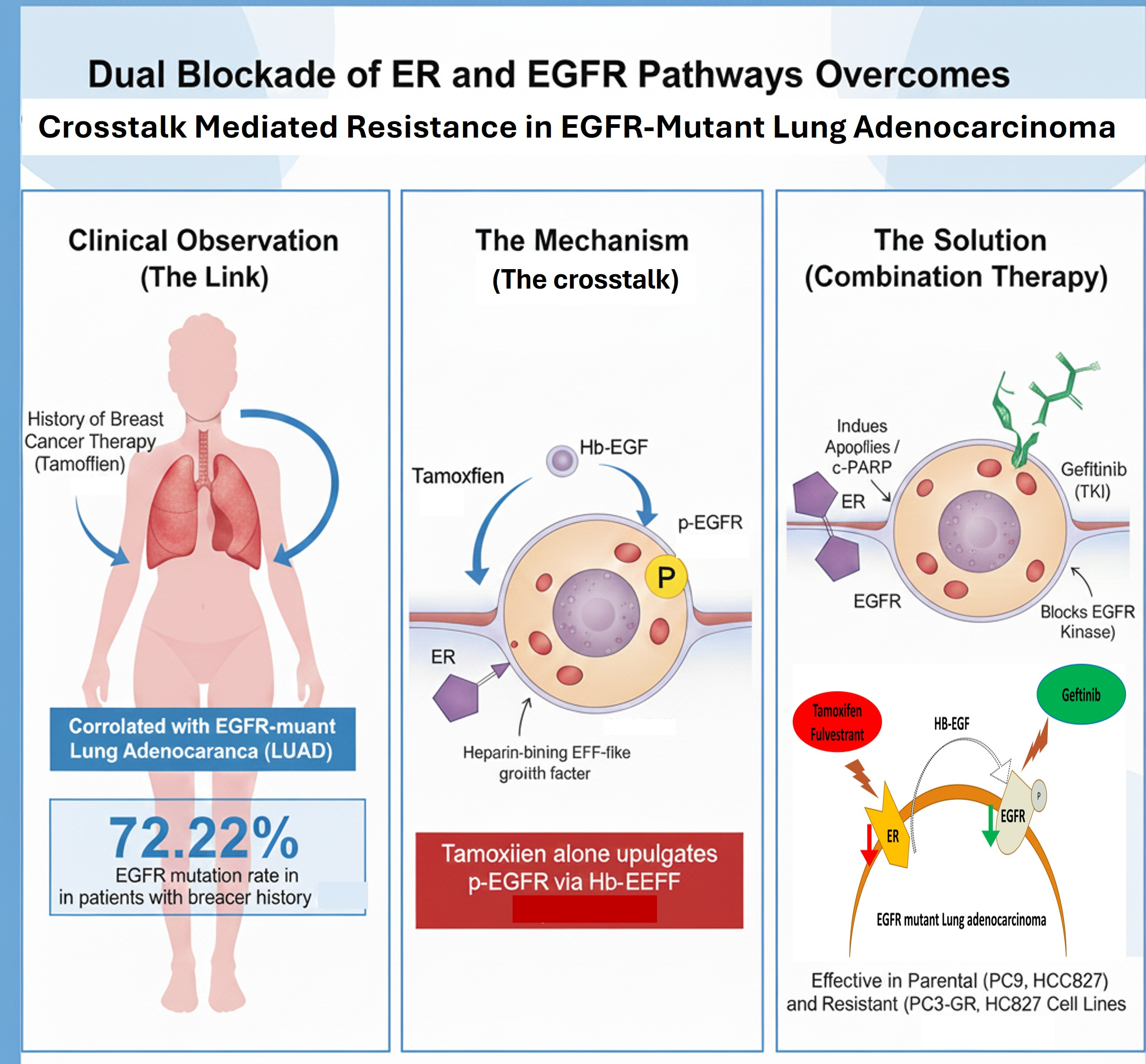 The Crosstalk Mechanism of EGFR and ER in EGFR-Mutant Lung Adenocarcinoma