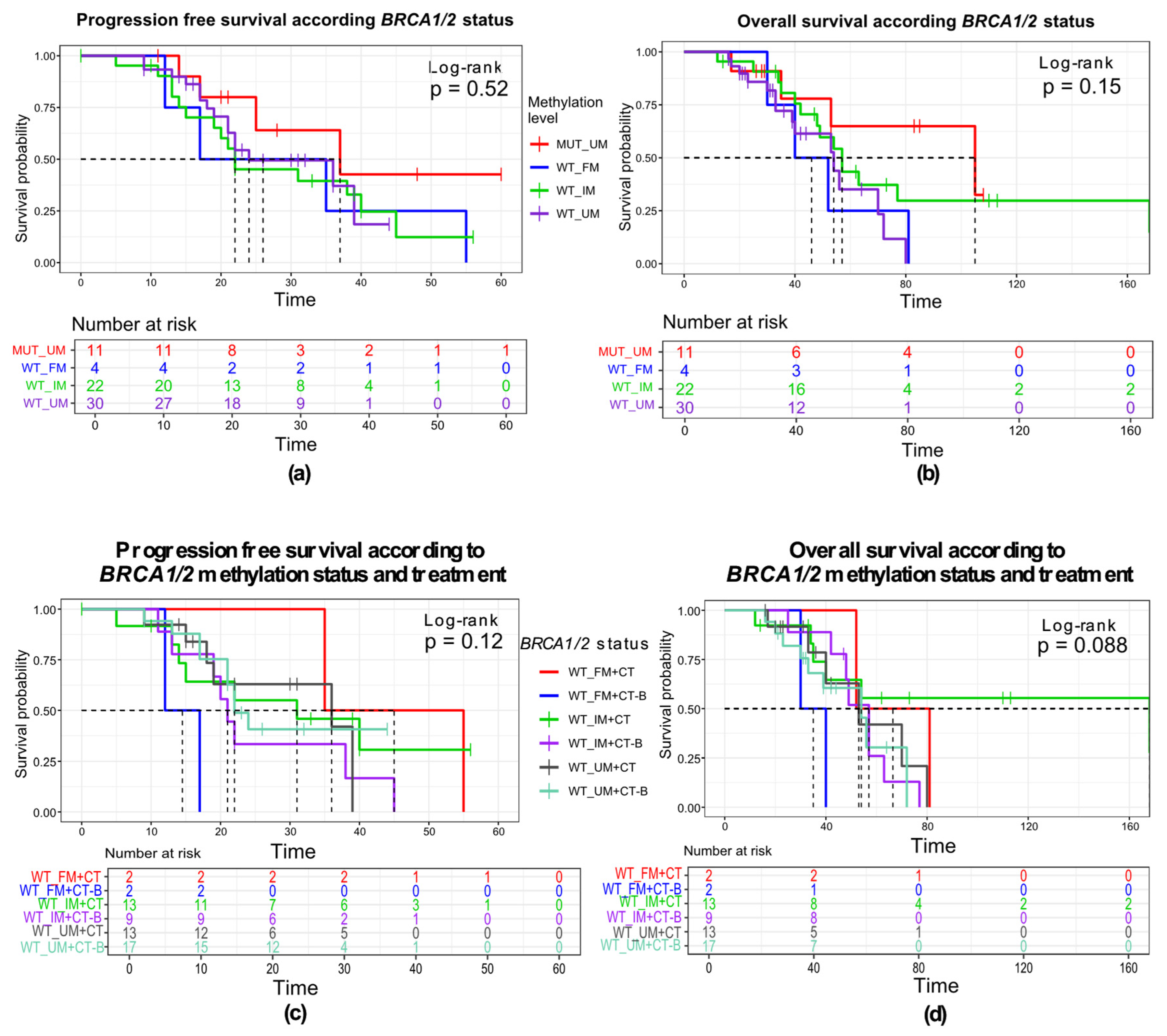 The Effects of BRCA1 and BRCA2 Promoter Methylation on ...