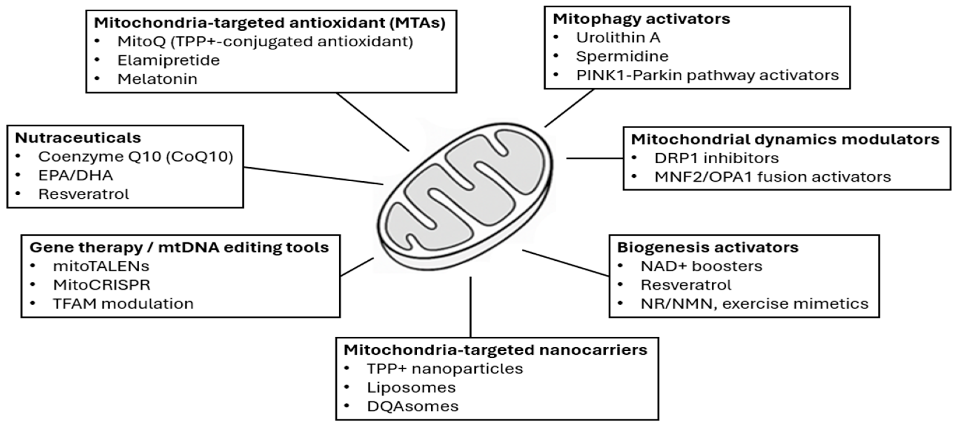 Mitochondria at the Crossroads of Cardiovascular Disease: Mechanistic ...