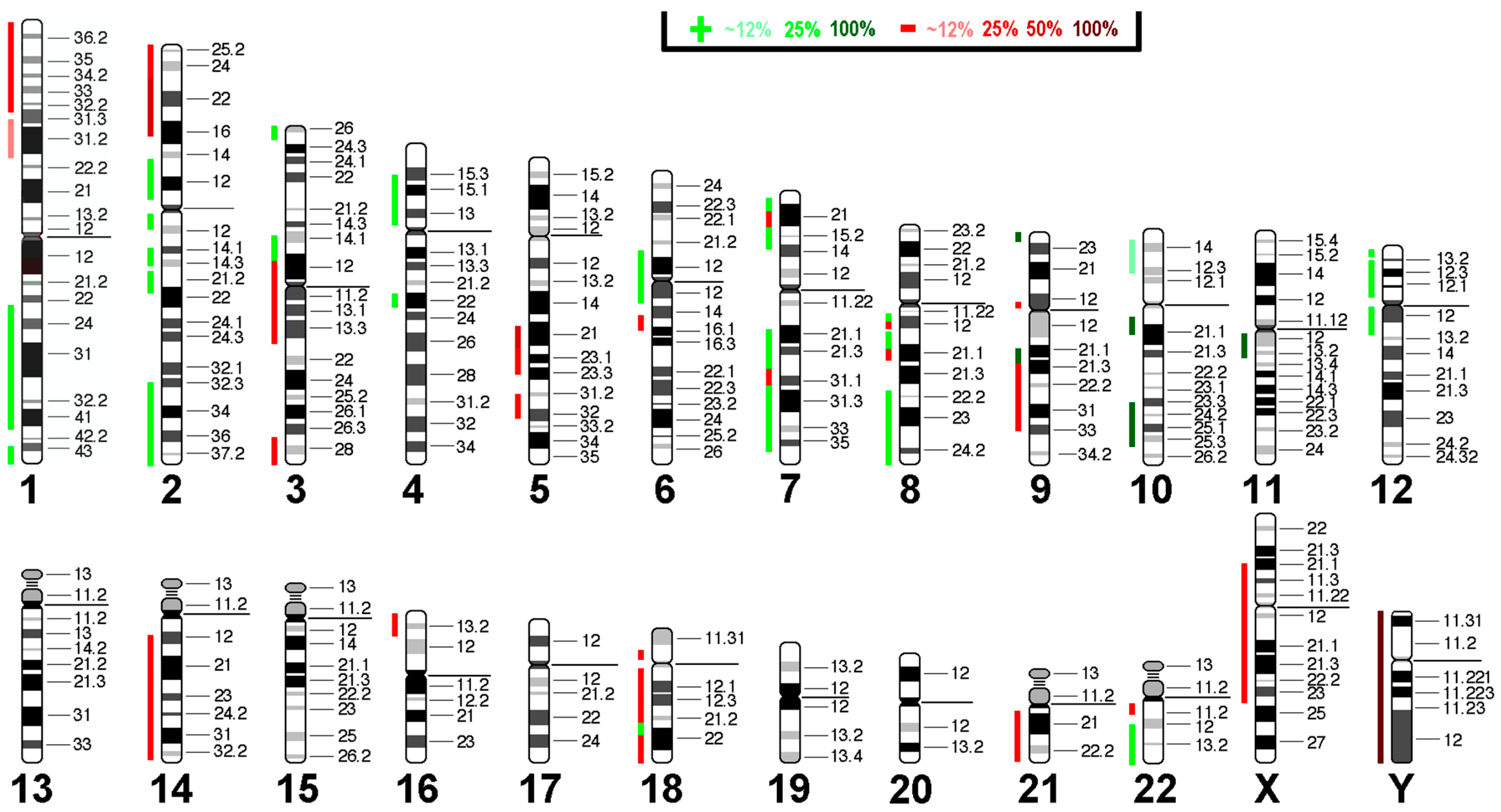 Comprehensive Cytogenetic and Genomic Profiling of the Murine AML12 ...