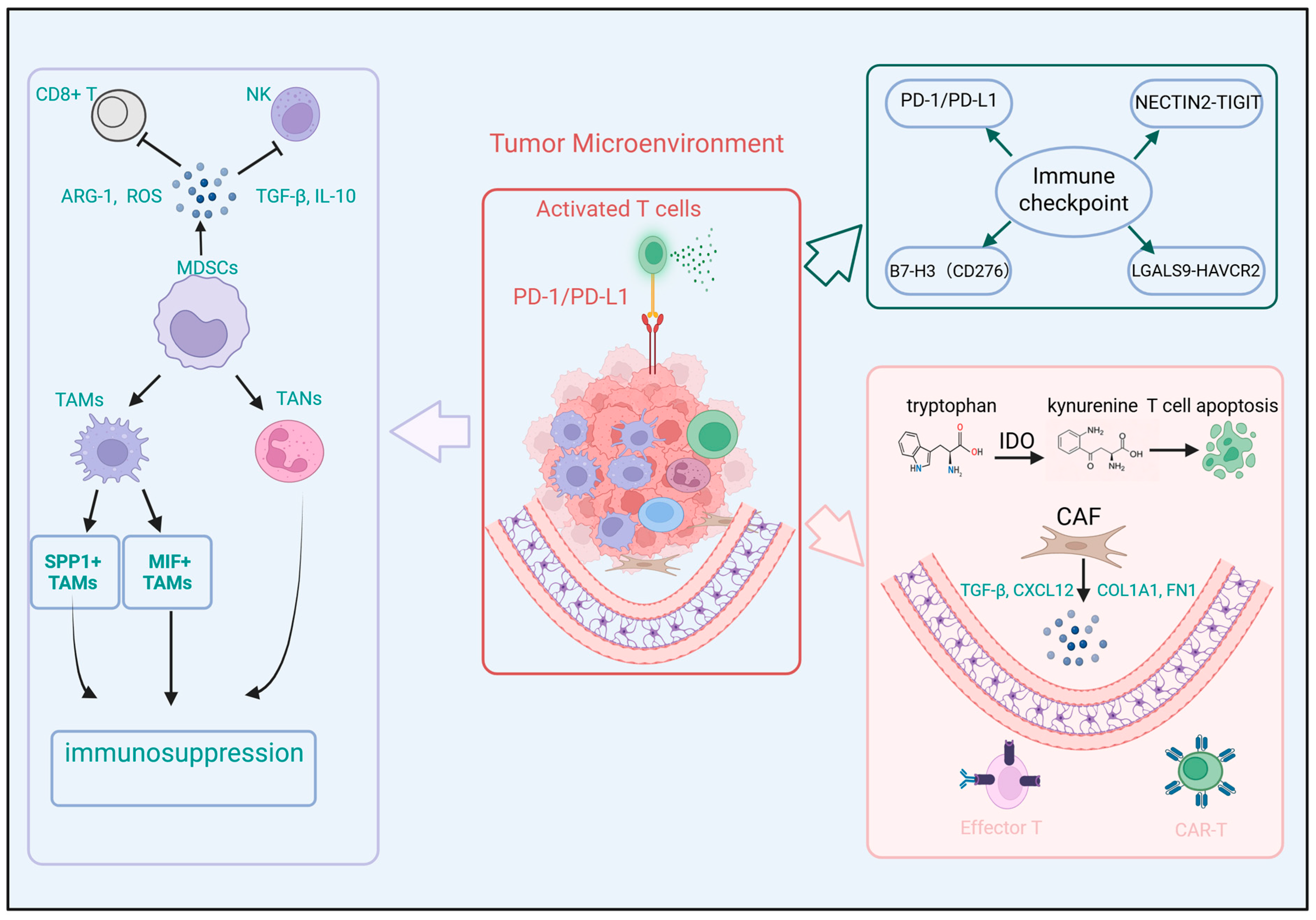 Factors Influencing Immunotherapy Response in Neuroblastoma: From Tumor ...
