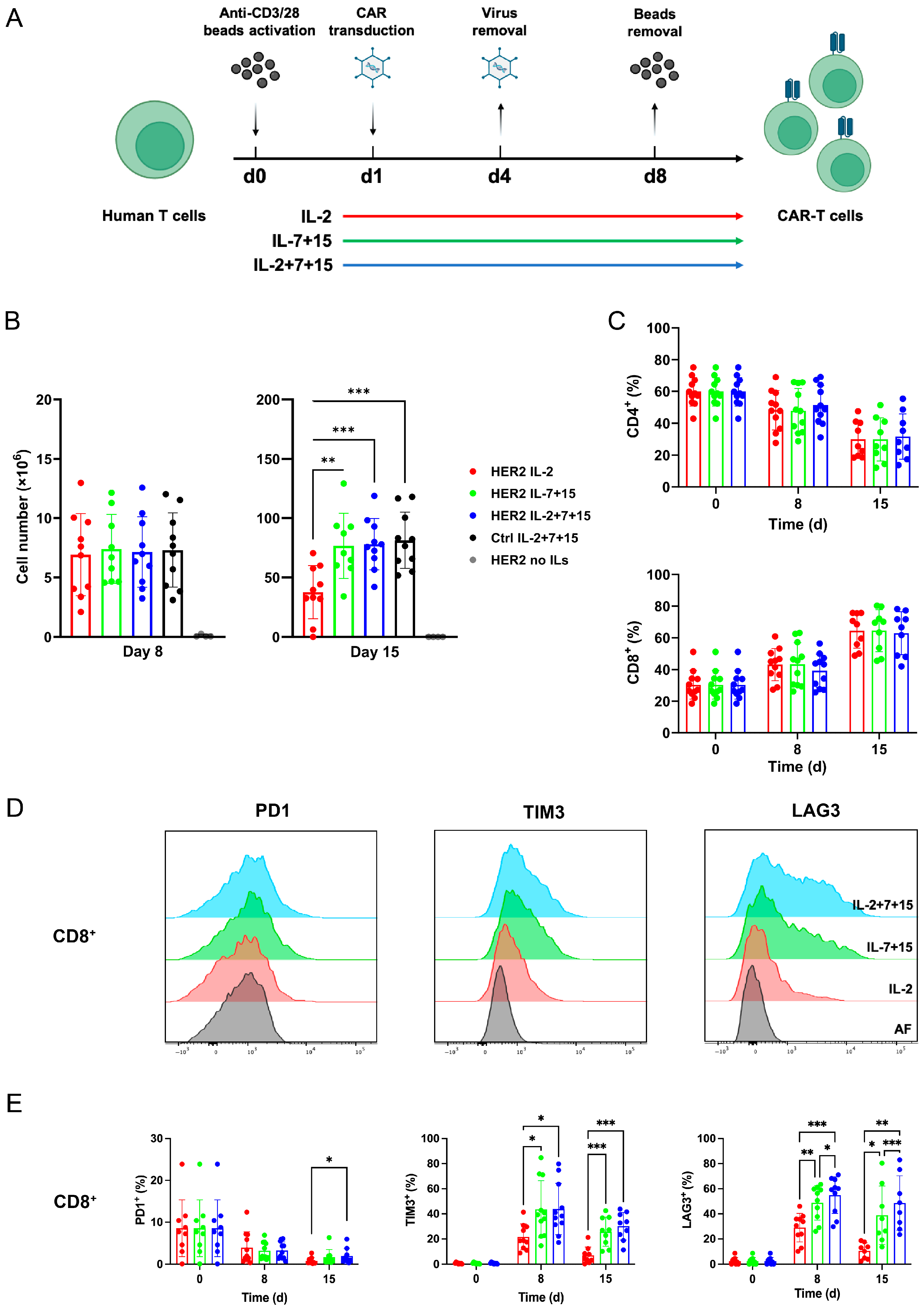 Empowerment of CAR-T Cells by IL-7 and IL-15 Boosts Their Efficacy ...