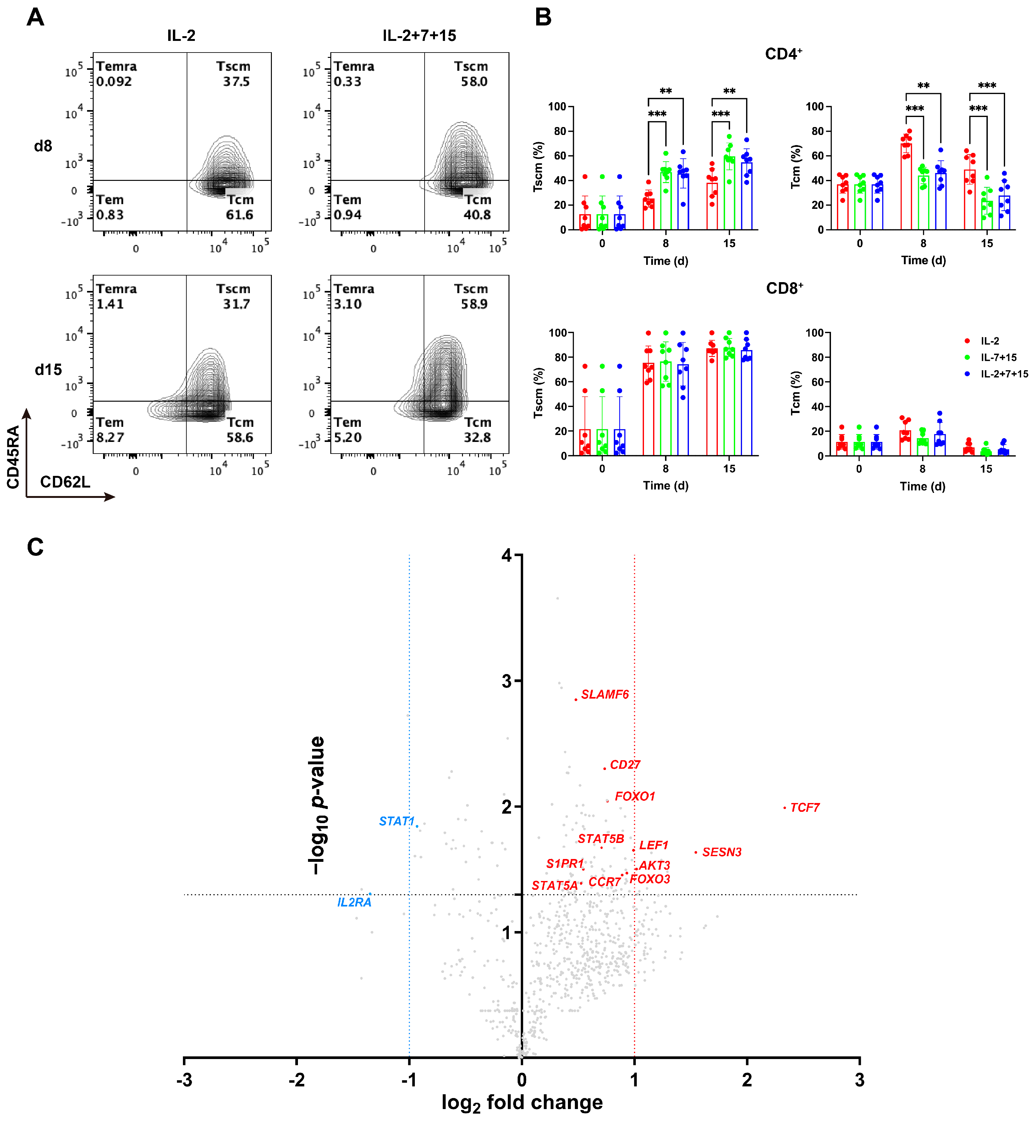 Empowerment of CAR-T Cells by IL-7 and IL-15 Boosts Their Efficacy ...