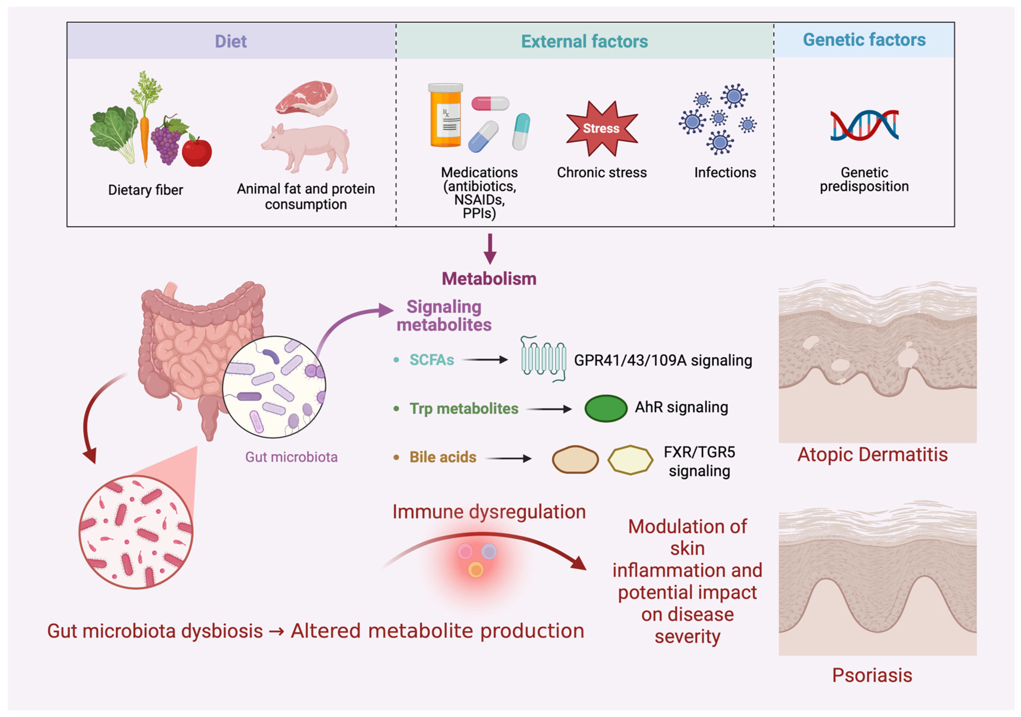 Gut Dysbiosis and the Molecular Landscape of the Gut–Skin Axis ...
