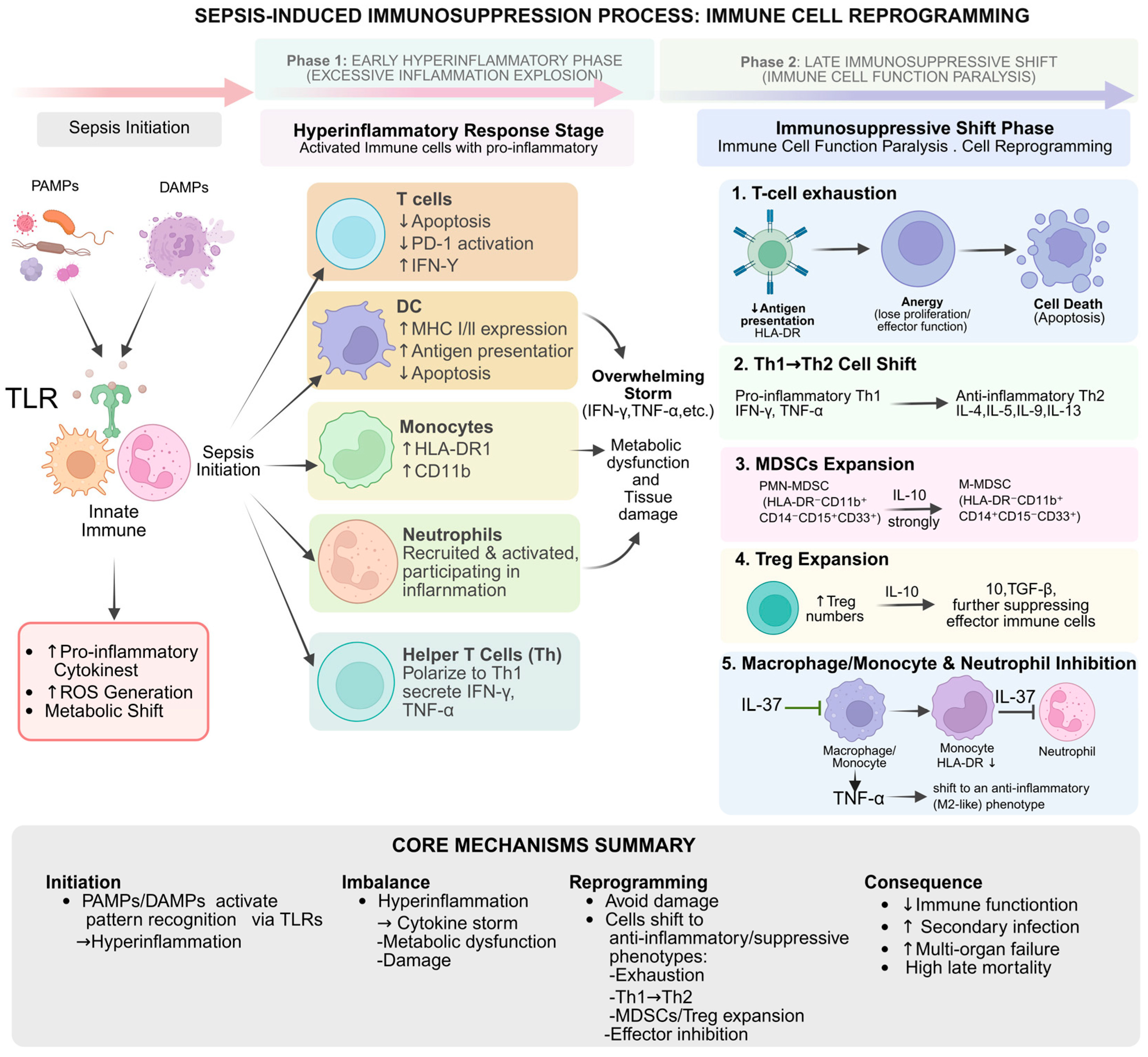 Trained Immunity in Neutrophils and Mononuclear Phagocytes: Mechanisms ...