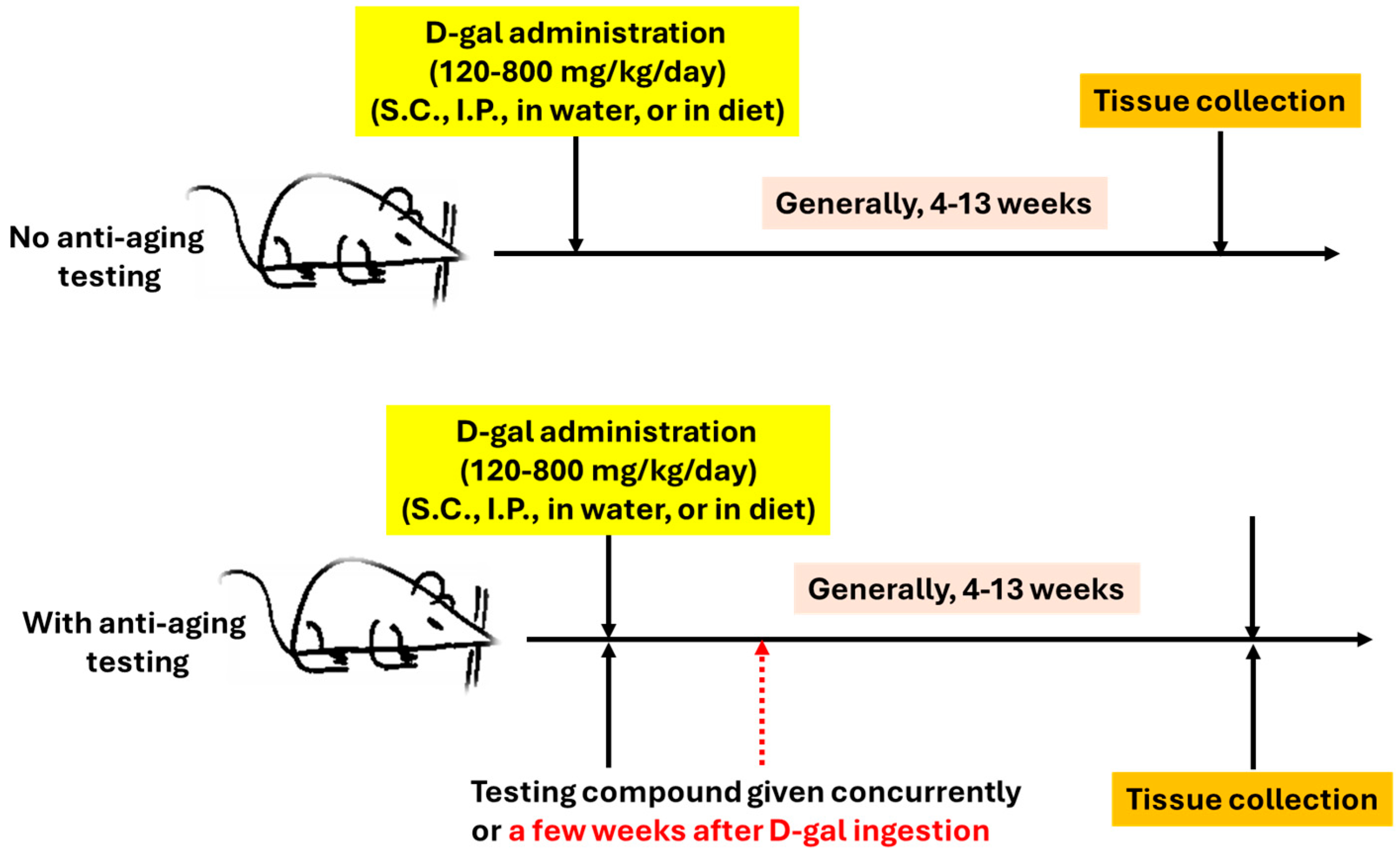 Rodent Models of D-Galactose Induction of Accelerated Aging: A Platform ...