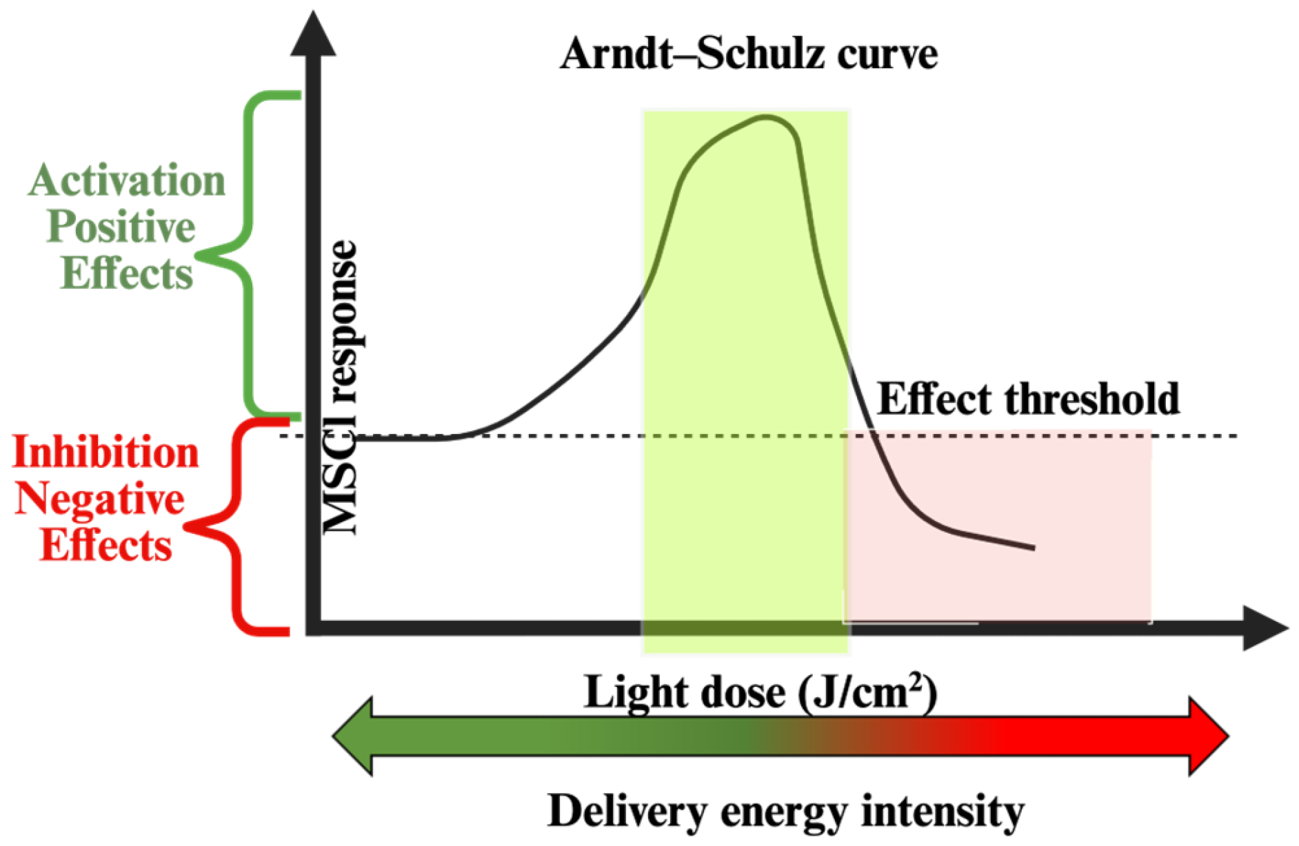 Cell Fate Modulation Wavelength-Dependent Modulation of Mesenchymal Stem Cell Fate: A ...