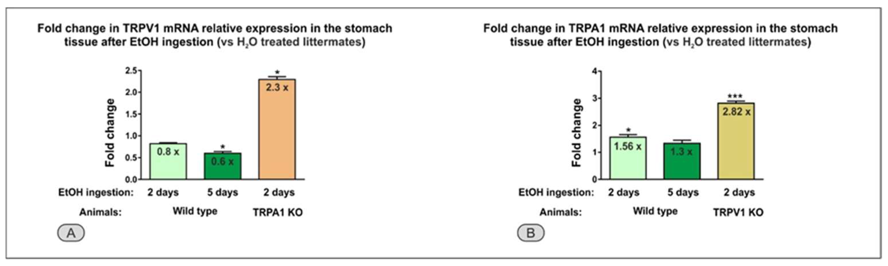 TRPA1 and TRPV1 Receptors Protect the Gastric Mucosa from Ethanol ...