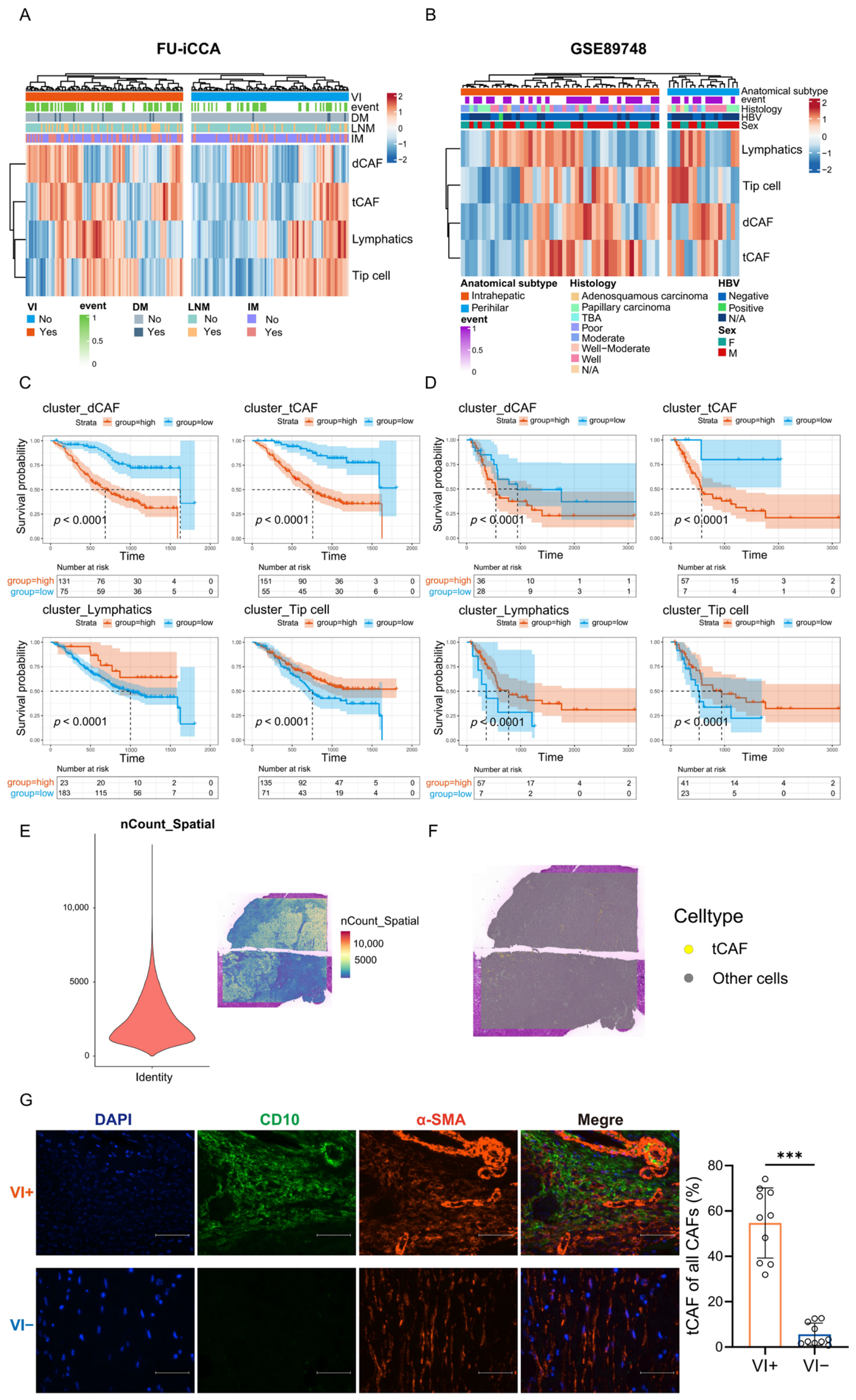 Single-Cell and Bulk Transcriptomics Uncover the Cellular Ecosystem of ...