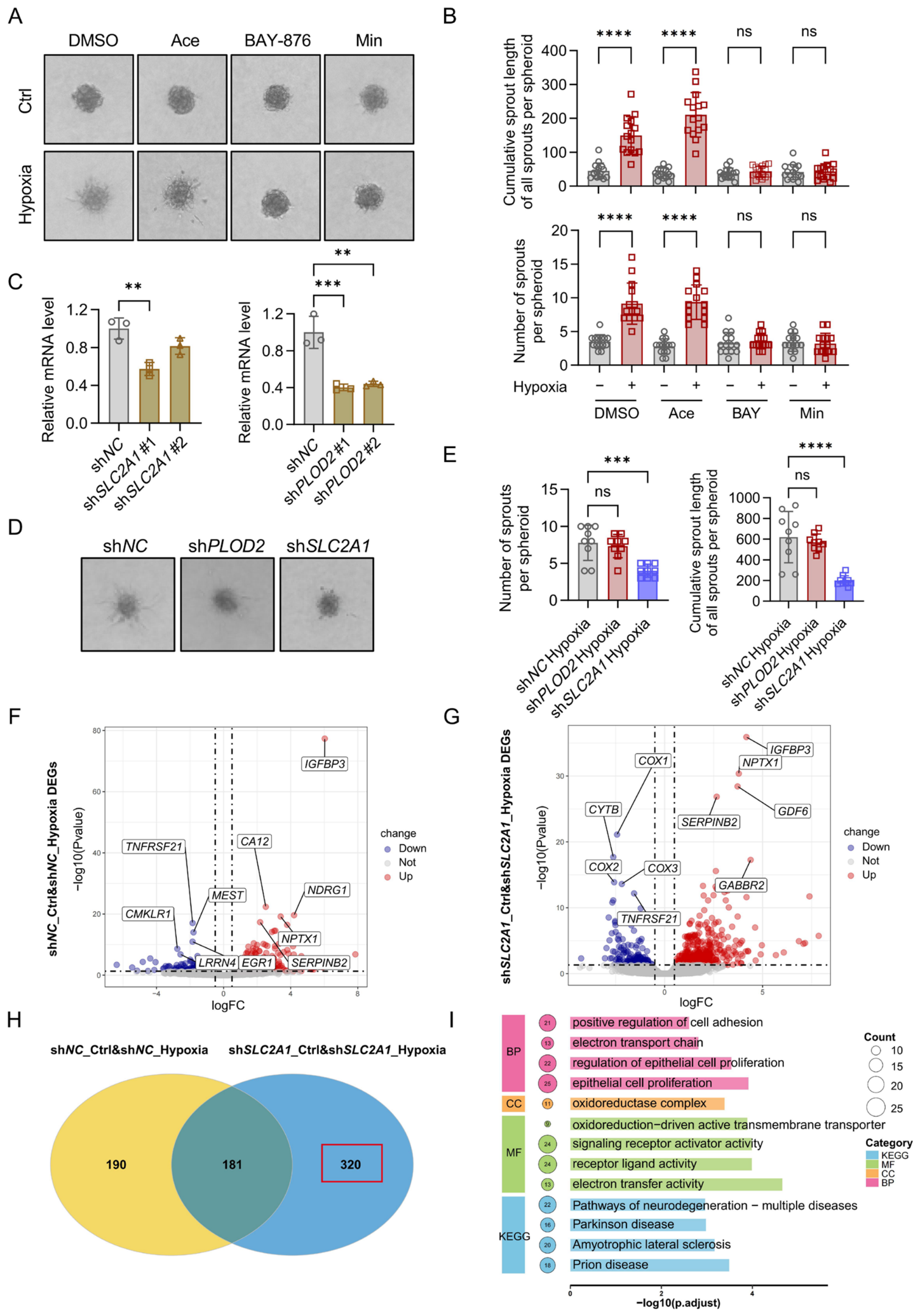 Single-Cell and Bulk Transcriptomics Uncover the Cellular Ecosystem of ...