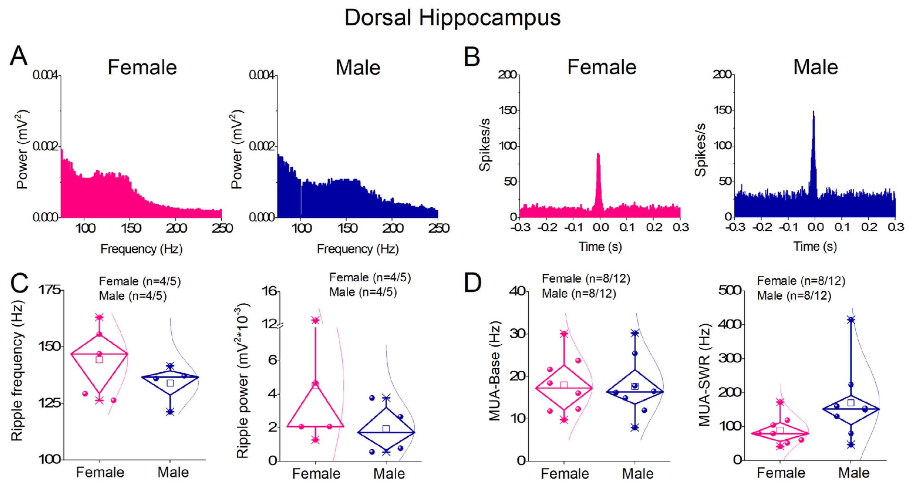Sharp Wave Ripples In Humans Sex- and Region-Dependent Differences in Sharp Wave–Ripples Along the ...