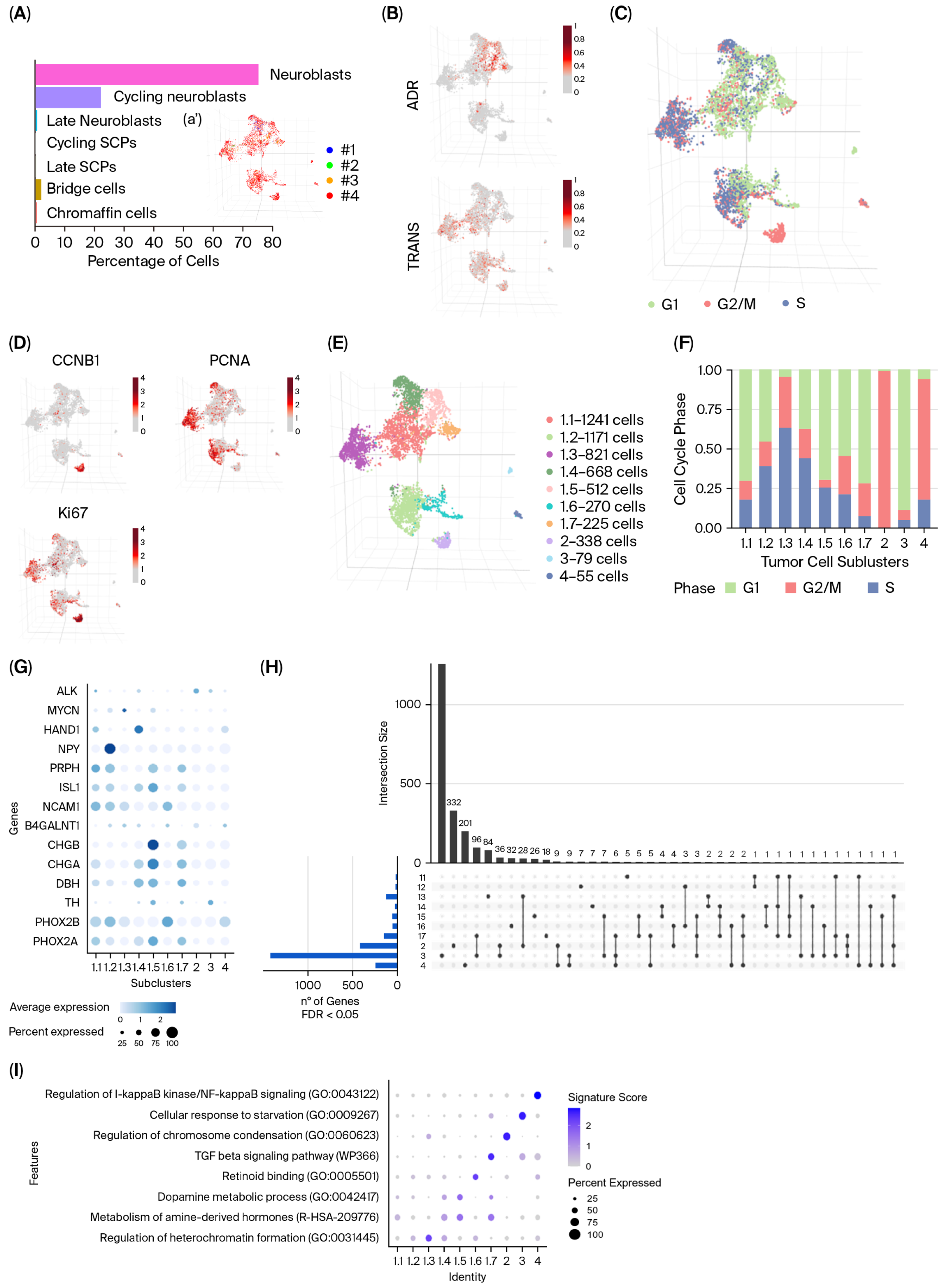 Comparative Study of Single-Cell and Bulk RNA Sequencing Data from ...