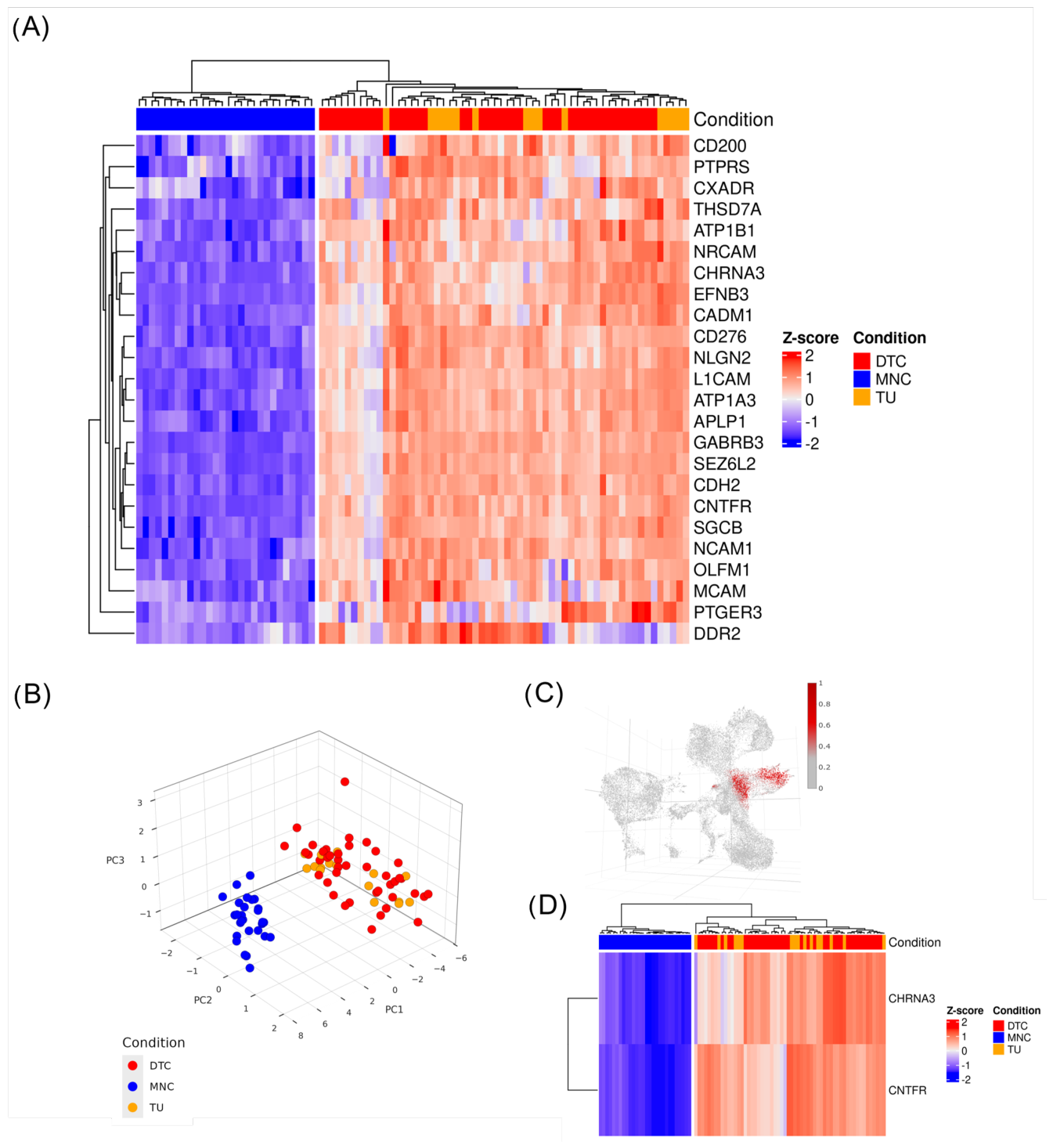 Comparative Study of Single-Cell and Bulk RNA Sequencing Data from ...