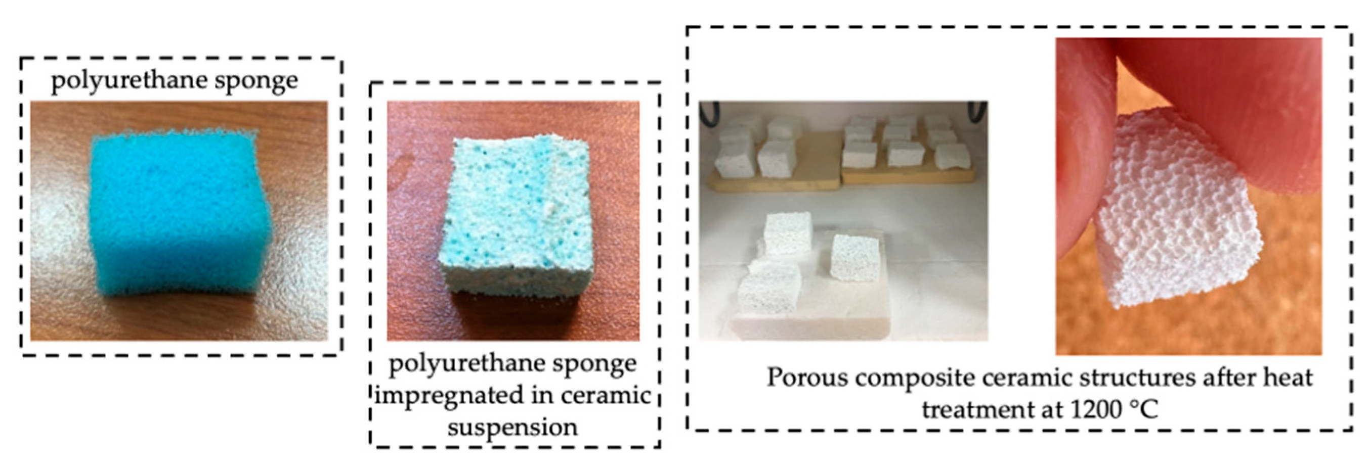 Pottery Sponge, Multiple Sizes, Extra Large, Porous Honeycomb