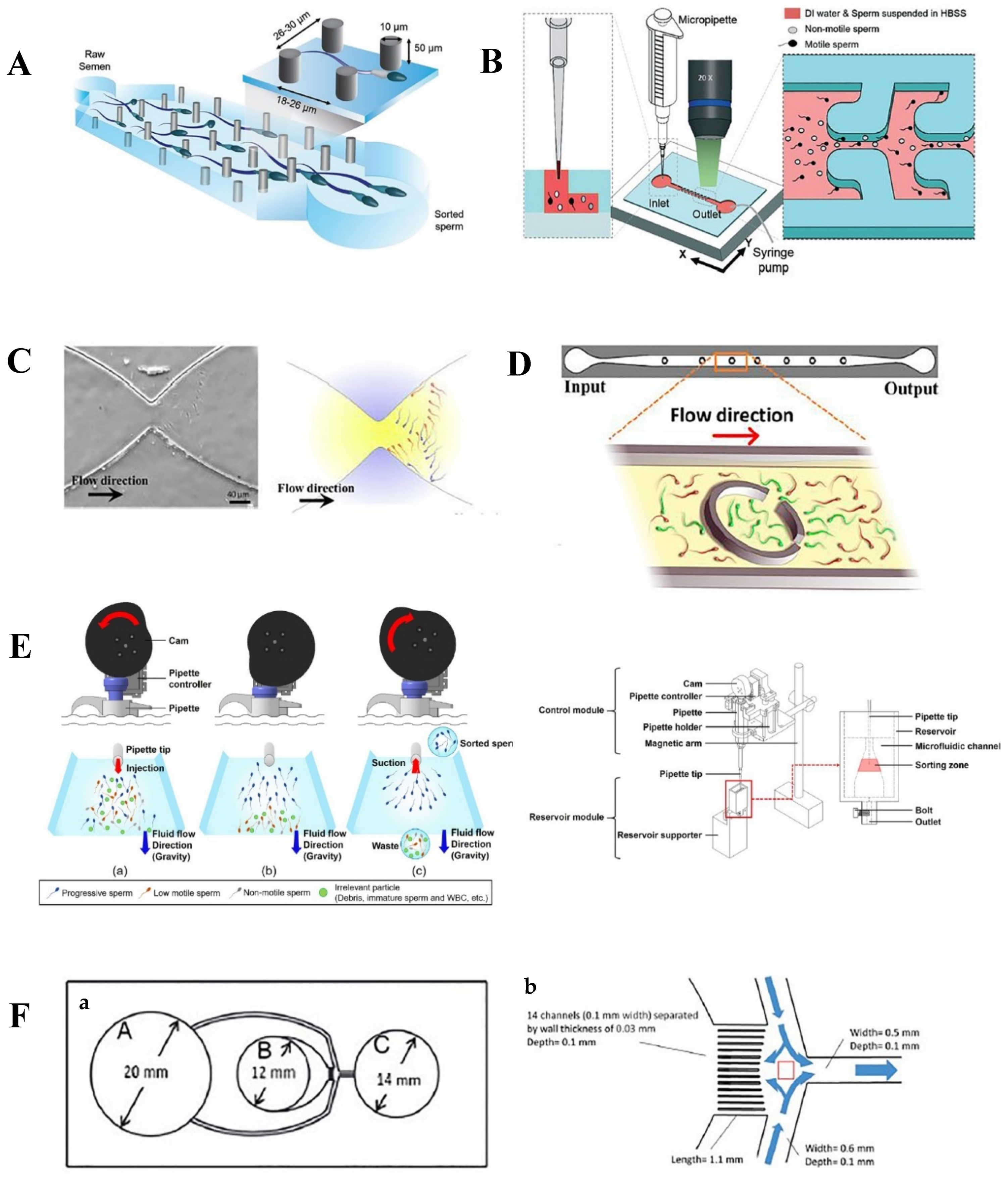 Chemosensors Free Full-Text Recent Microfluidic Innovations for Sperm Sorting