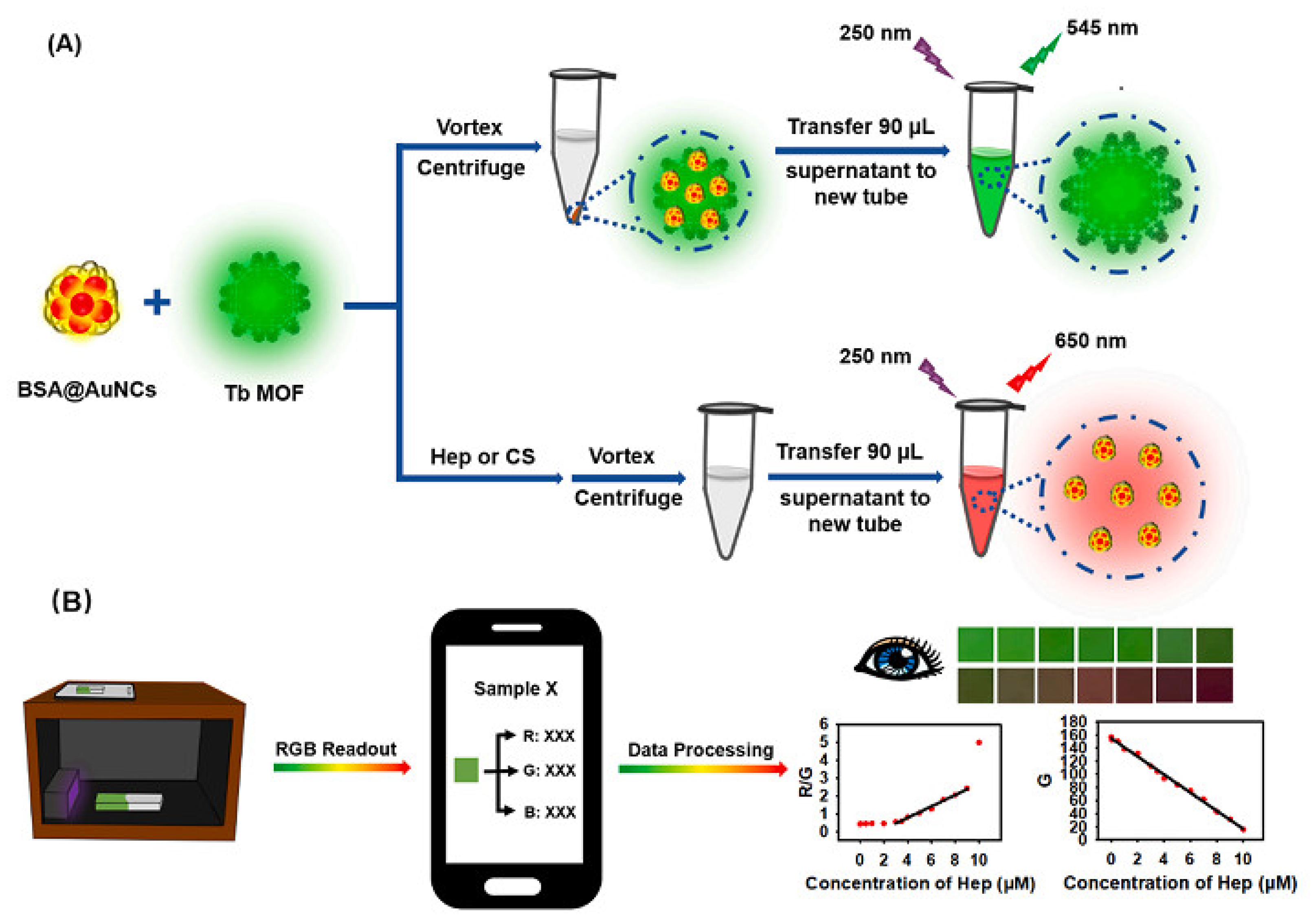 Chemosensors | Free Full-Text | Recent Advances in Metal-Organic 