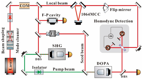 A Bright Squeezed Light Source for Quantum Sensing