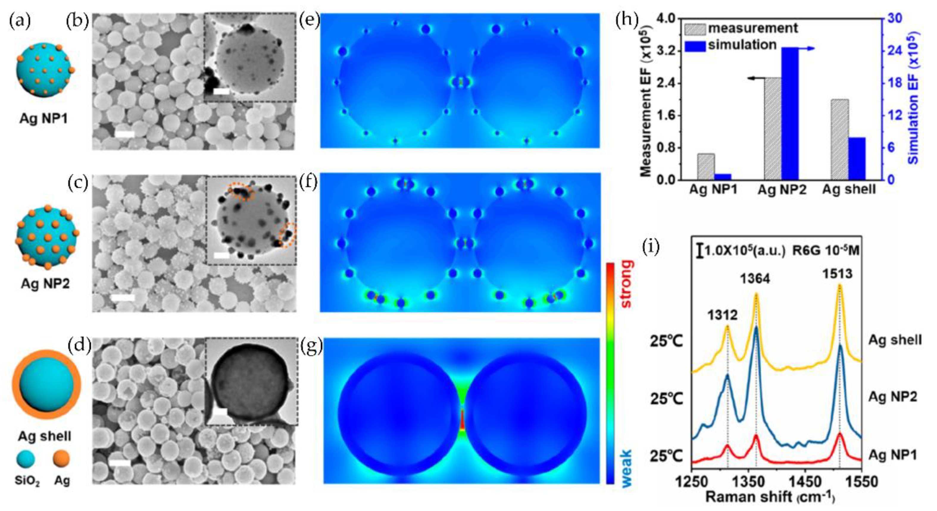 Chemosensors | Free Full-Text | Nanostructures for In Situ SERS 