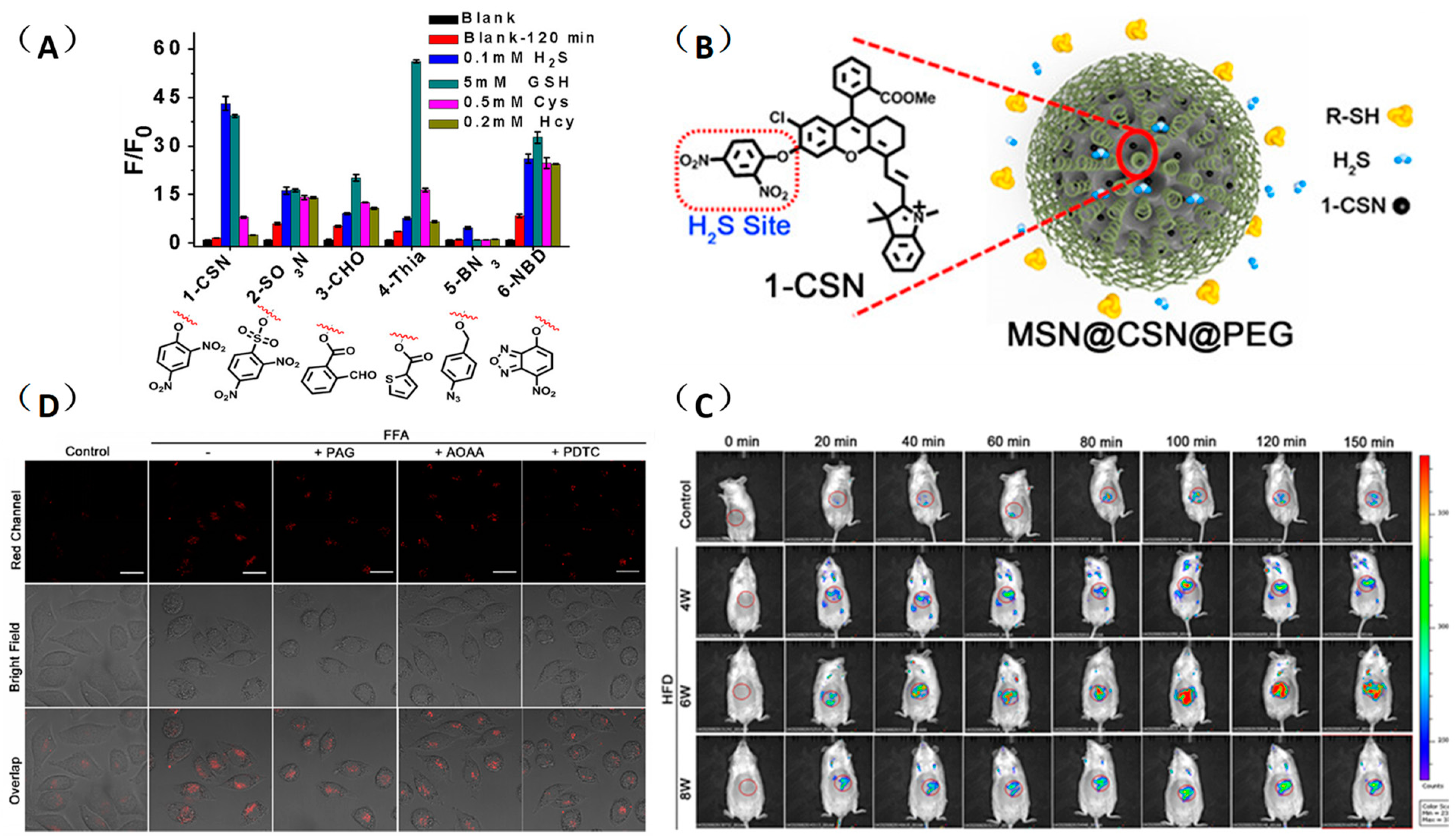 Activated Two-Photon Near-Infrared Ratiometric Fluorescent Nanoprobe for  ONOO– Detection and Early Diagnosis and Assessment of Liver Injury