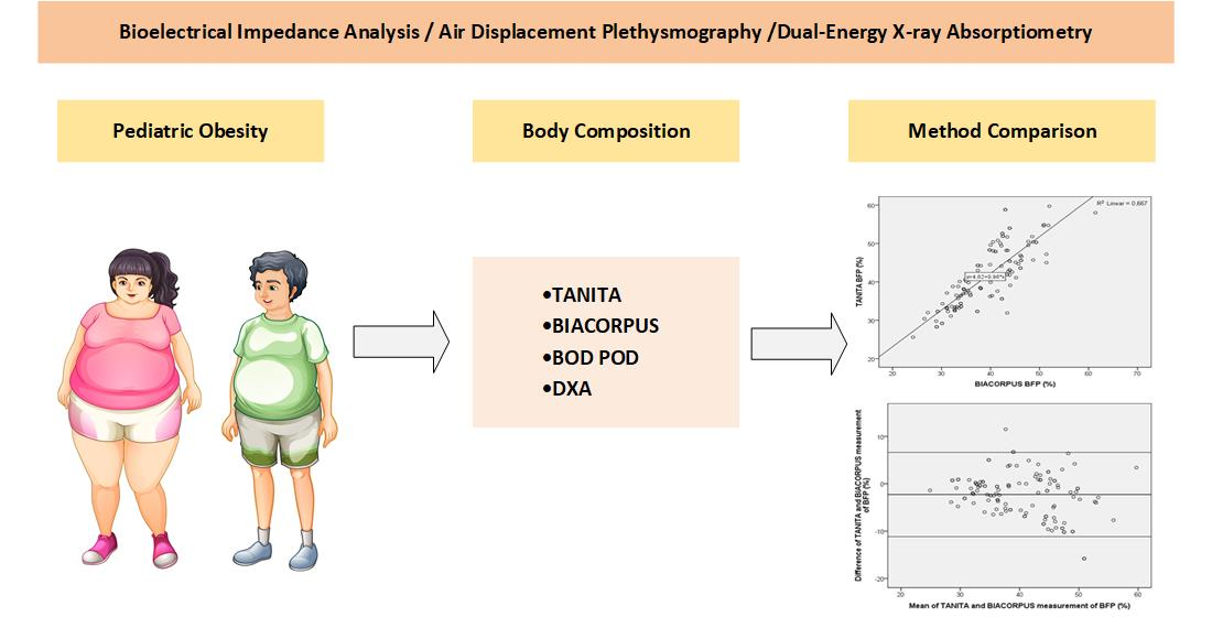 Body composition assessment using bioelectrical impedance analysis (BIA) in  a wide cohort of patients affected with mild to severe obesity -  ScienceDirect
