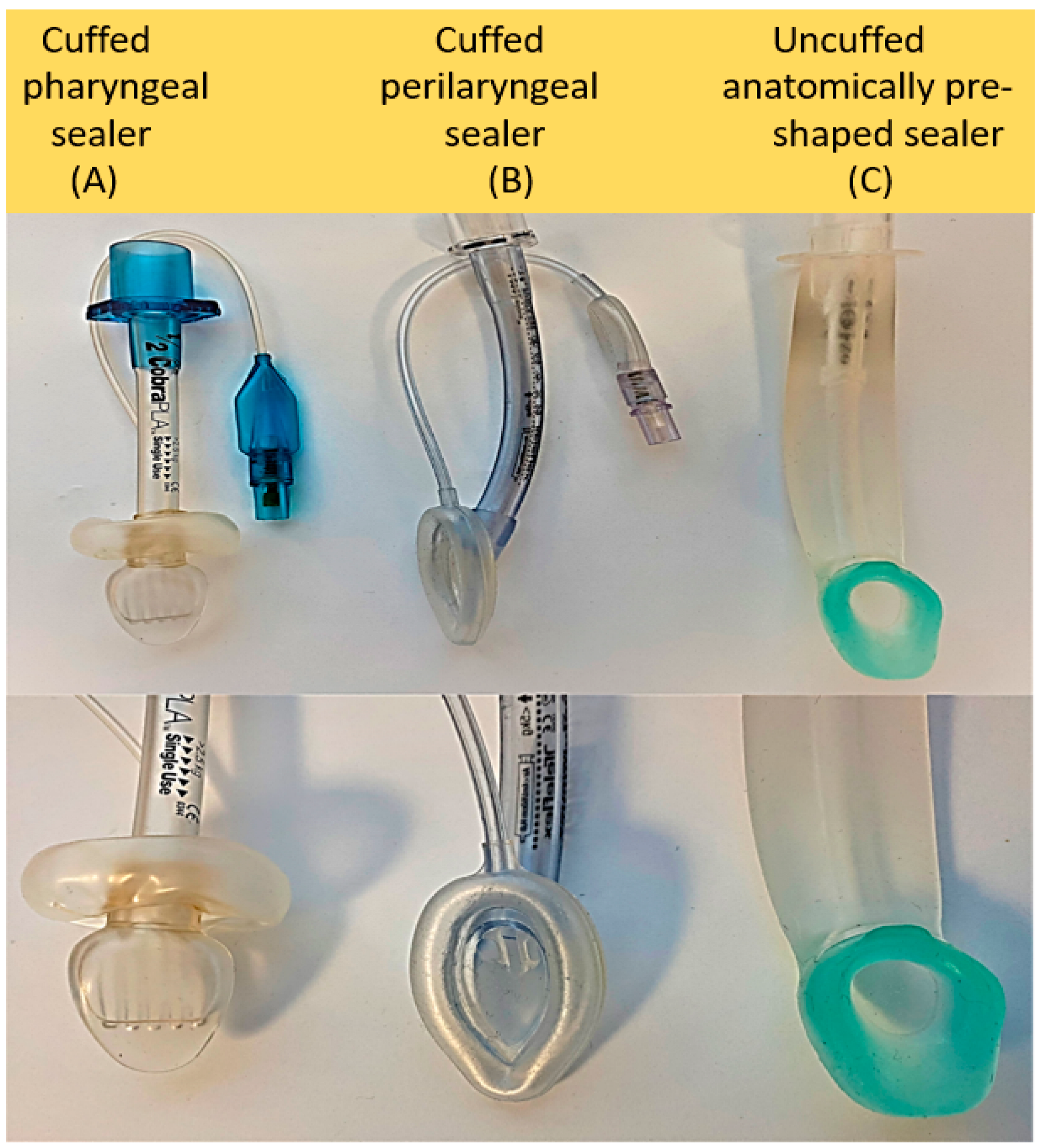 Laryngeal Mask Airway Sizes Laryngeal Mask Airway Sizes