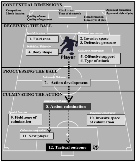 Frontiers  Adaptation and Validation of a Test for the Evaluation of  Tactical Knowledge in Soccer: Test de Conocimiento Táctico Ofensivo en  Fútbol for the Brazilian Context (TCTOF-BRA)