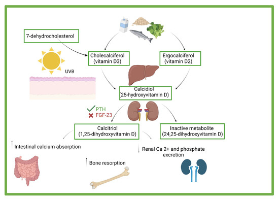 Children | Free Full-Text | Association between Vitamin D Levels ...