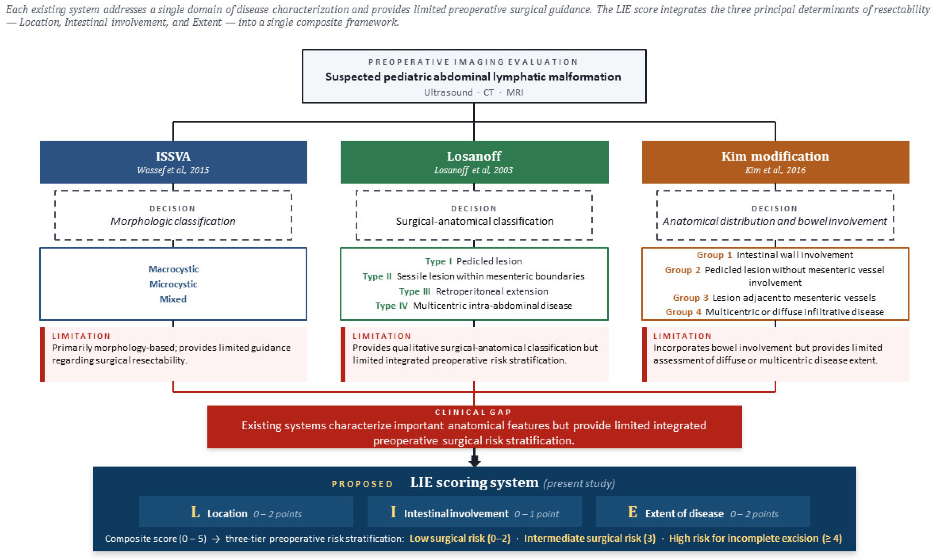 An Imaging-Based LIE Classification for Risk Stratification of ...
