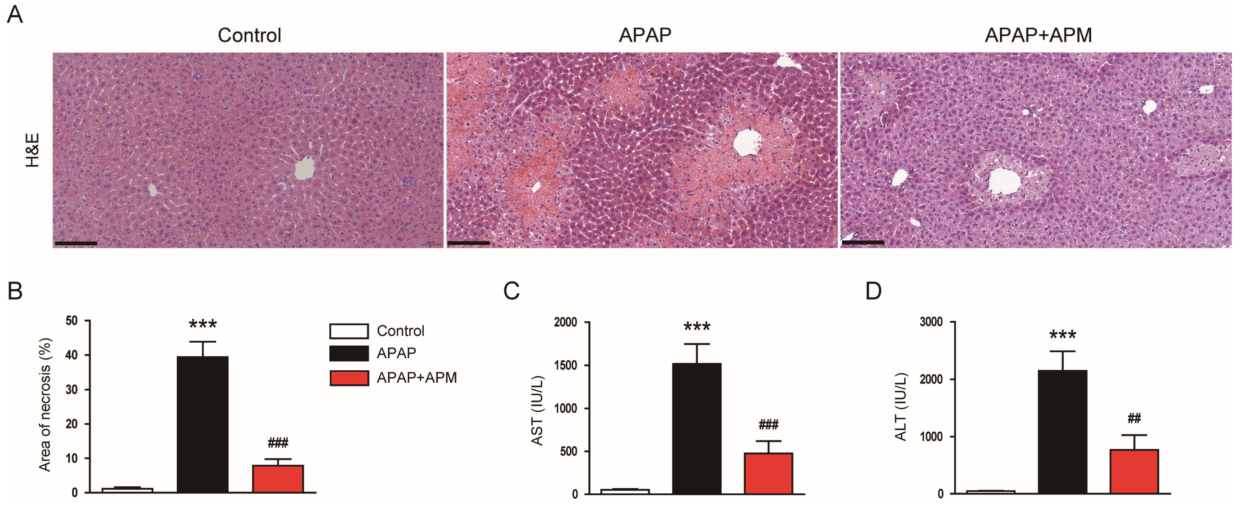 CIMB Free Full Text Protective Effects of Apamin on