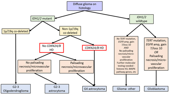 CIMB | Free Full-Text | CDKN2A/B Homozygous Deletions in 