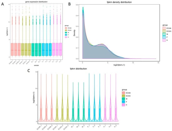 Exploring the Genetic Basis of Calonectria spp. Resistance