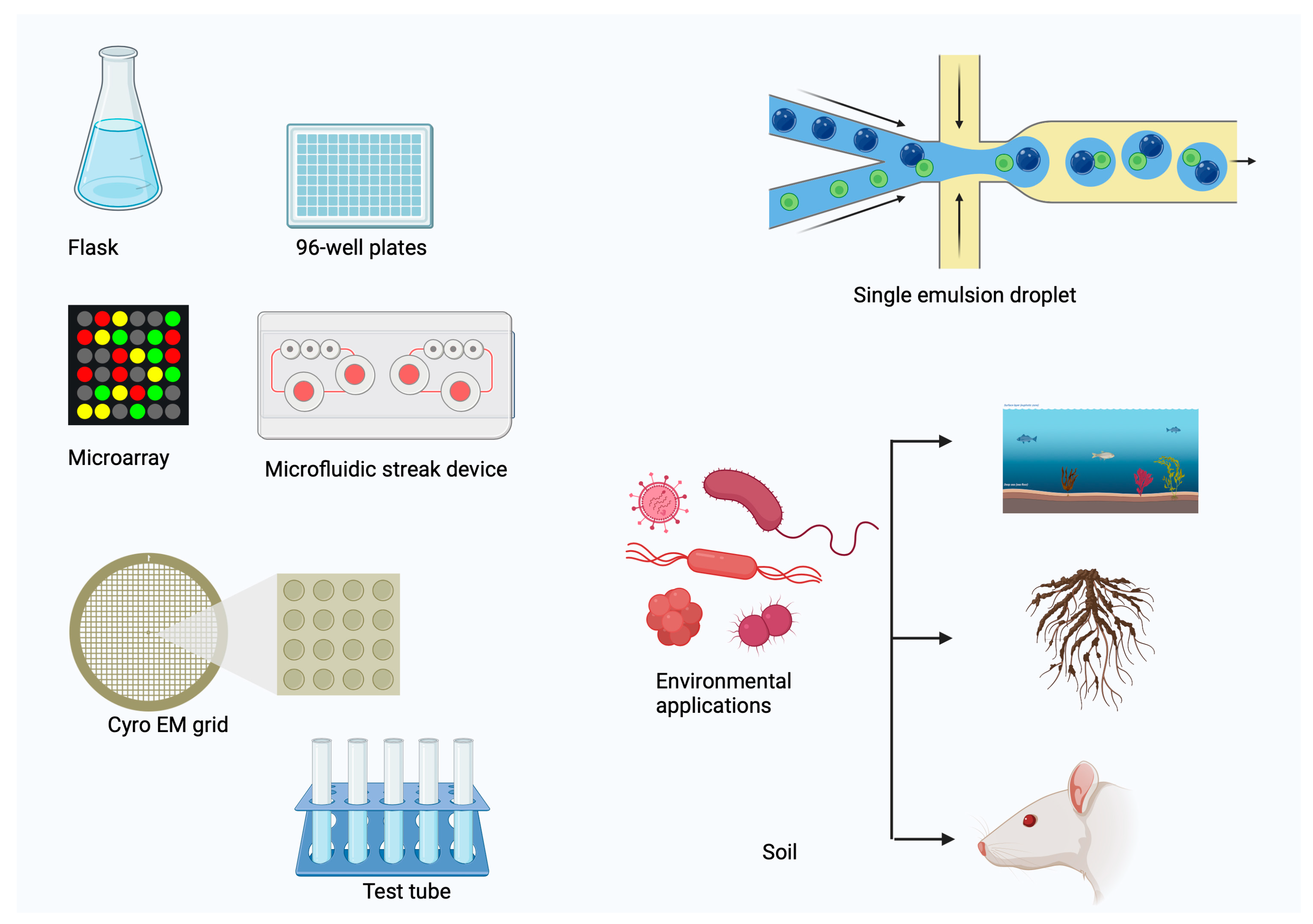 A Comprehensive Review on Bioactive Molecules and Advanced