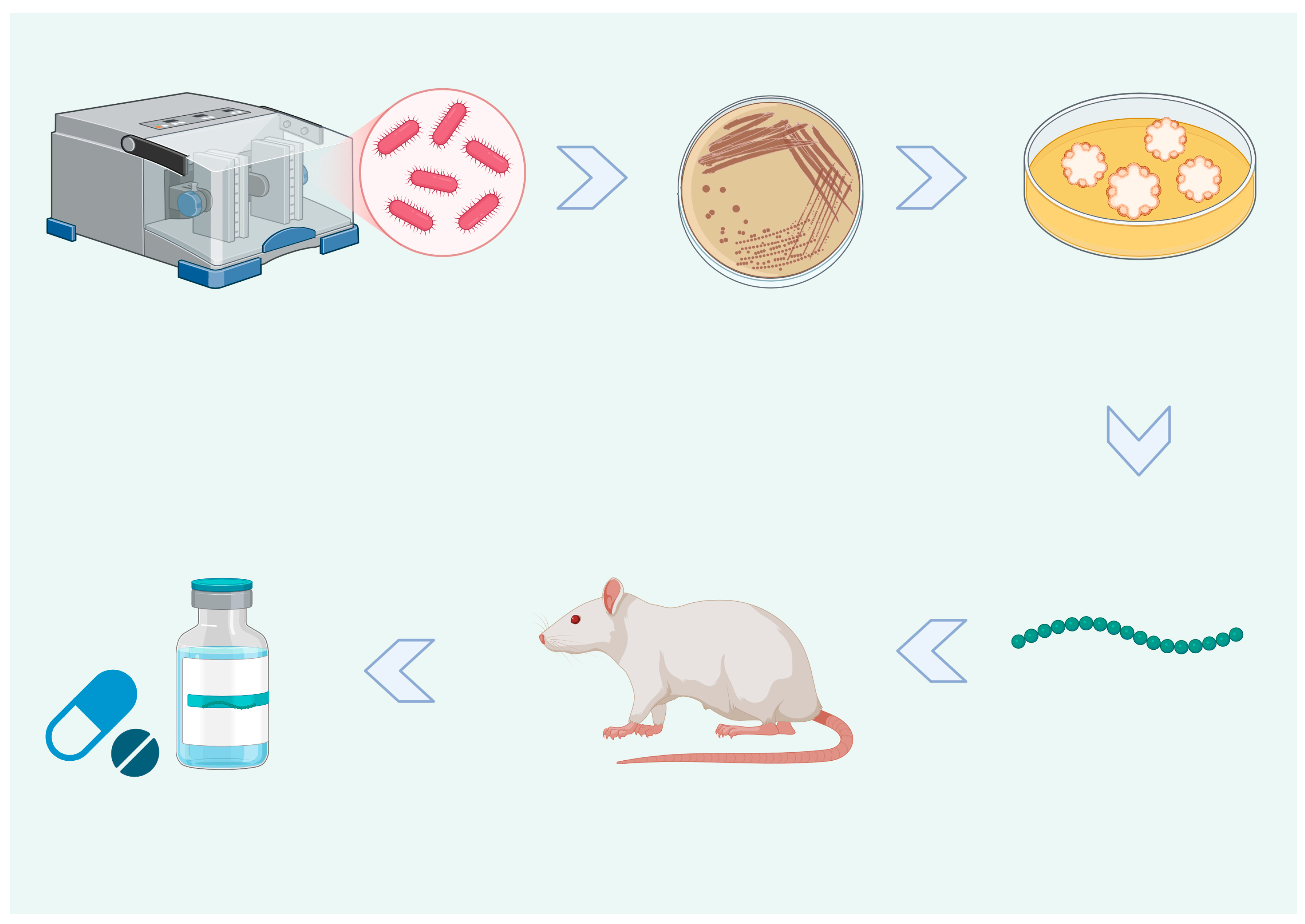 A Comprehensive Review on Bioactive Molecules and Advanced