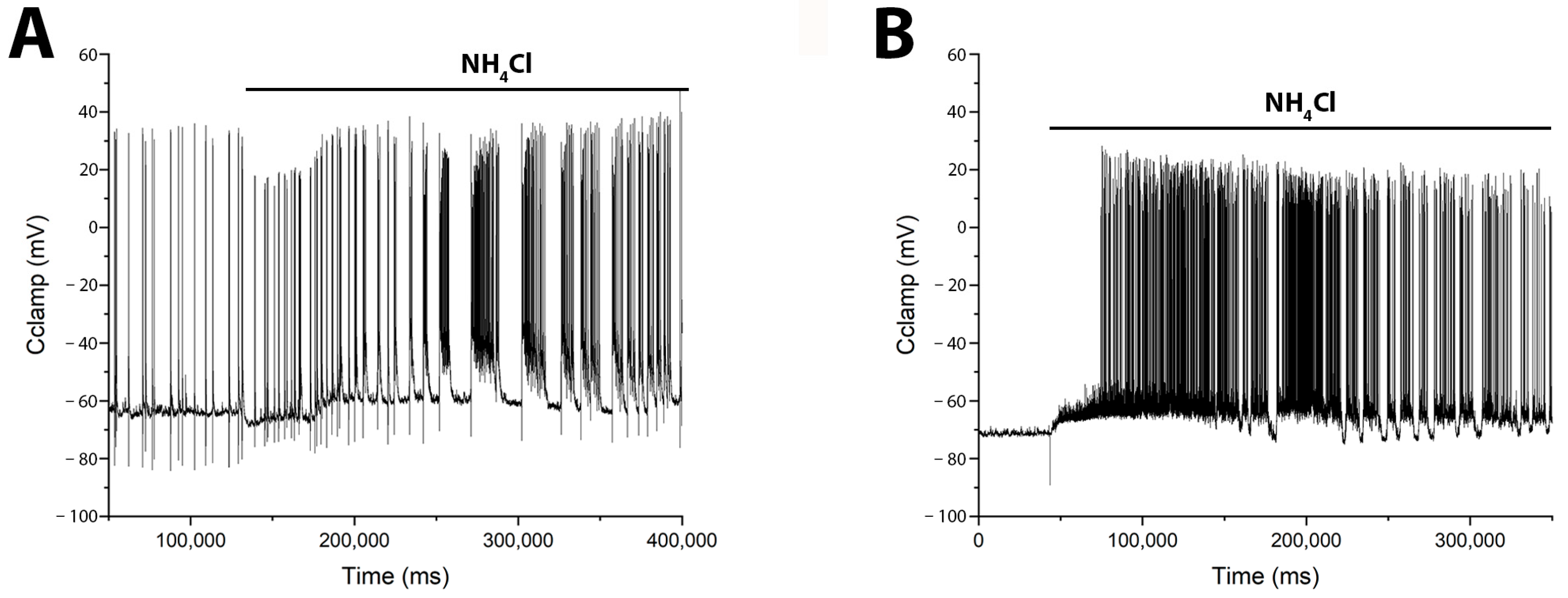 The Role of Calcium-Permeable Kainate and AMPA Receptors in the Leading ...