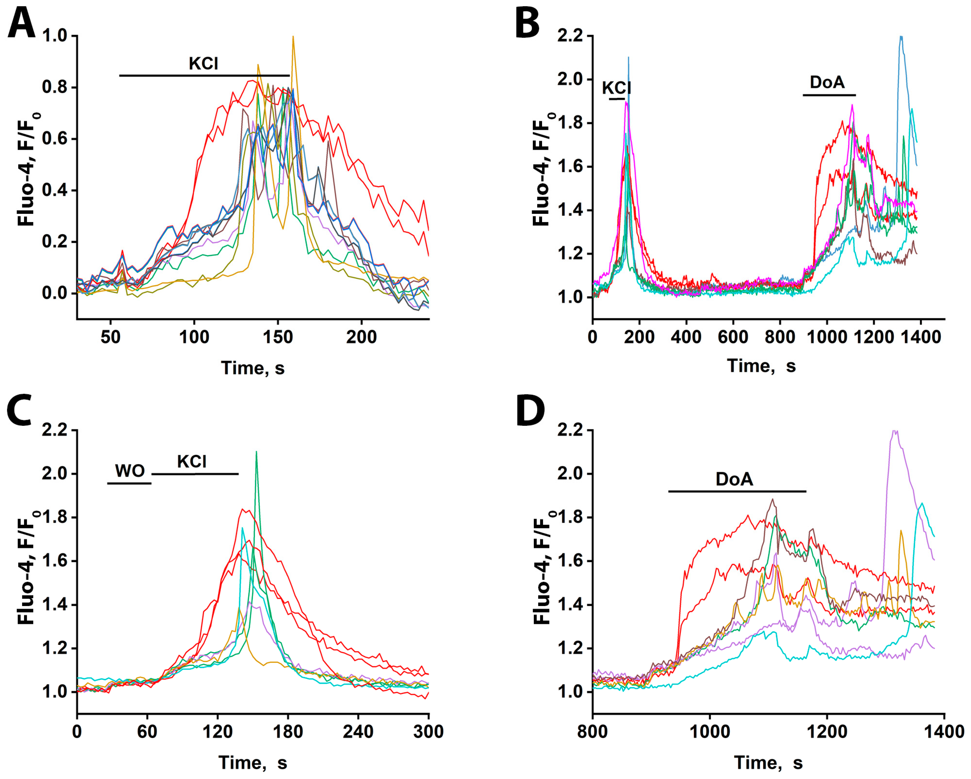 The Role of Calcium-Permeable Kainate and AMPA Receptors in the Leading ...